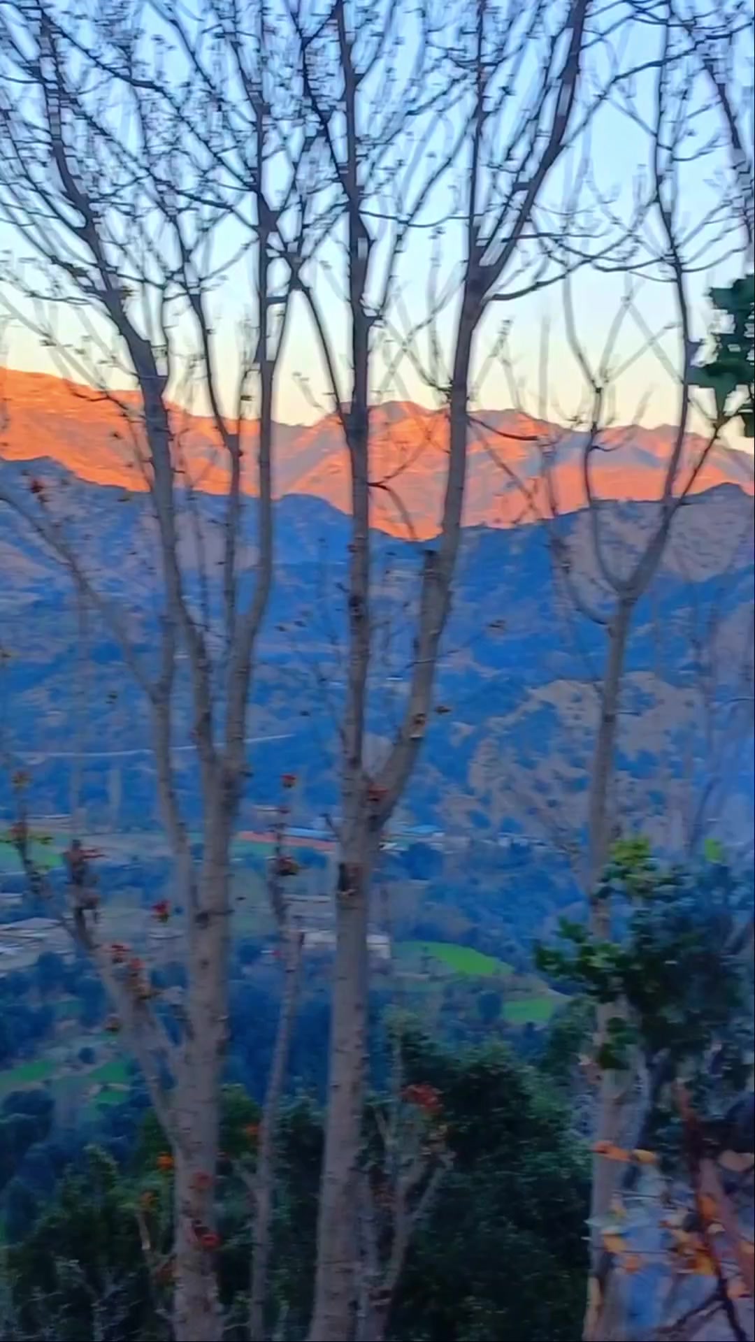 @ミ★𝘊𝘏𝘈𝘔𝘒𝘈𝘕𝘐 𝘒𝘐𝘕𝘎 ★彡