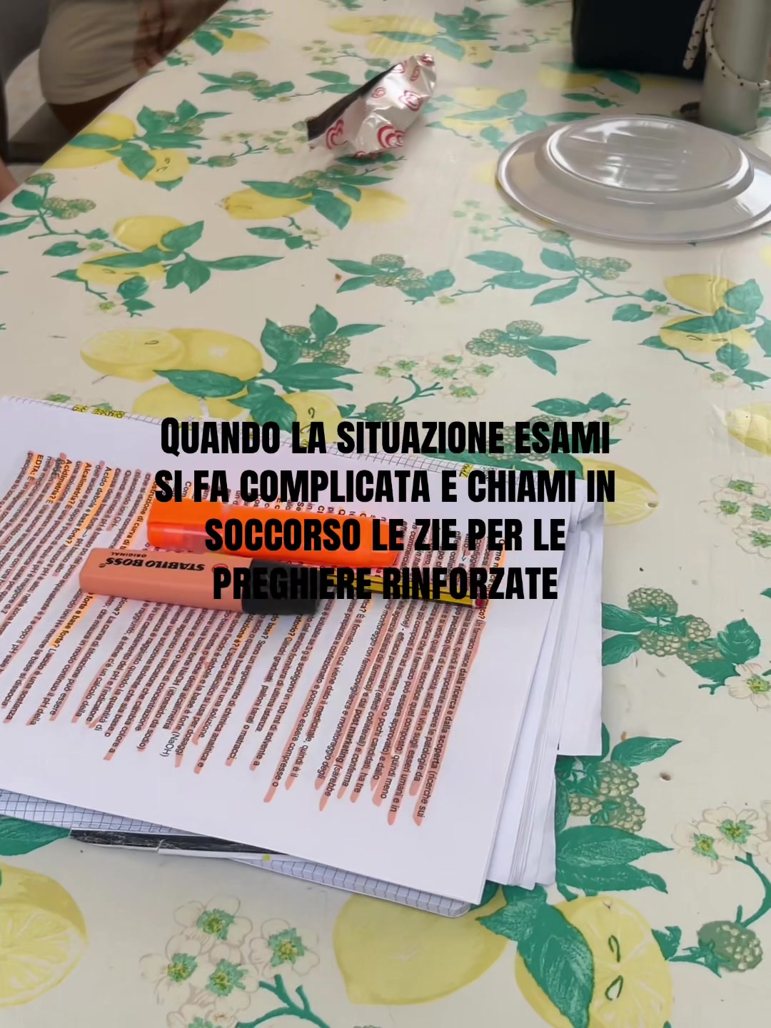 @Sofia Buttacavoli