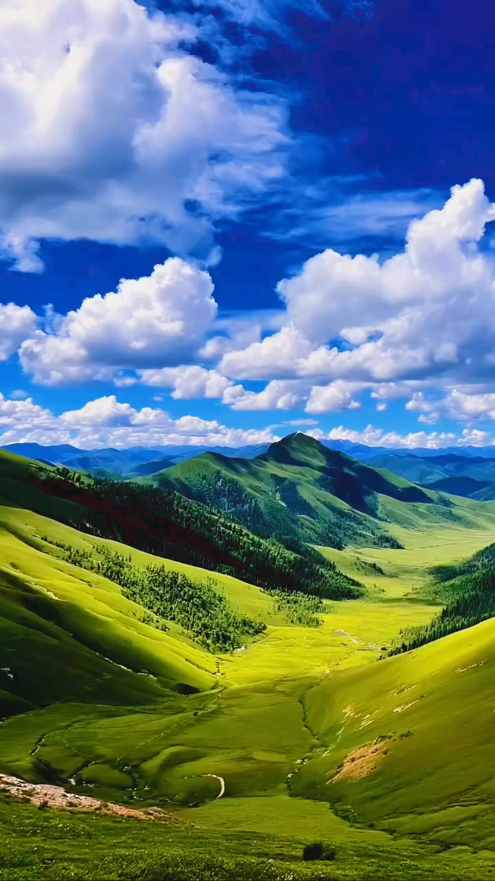 @Lionghoaho