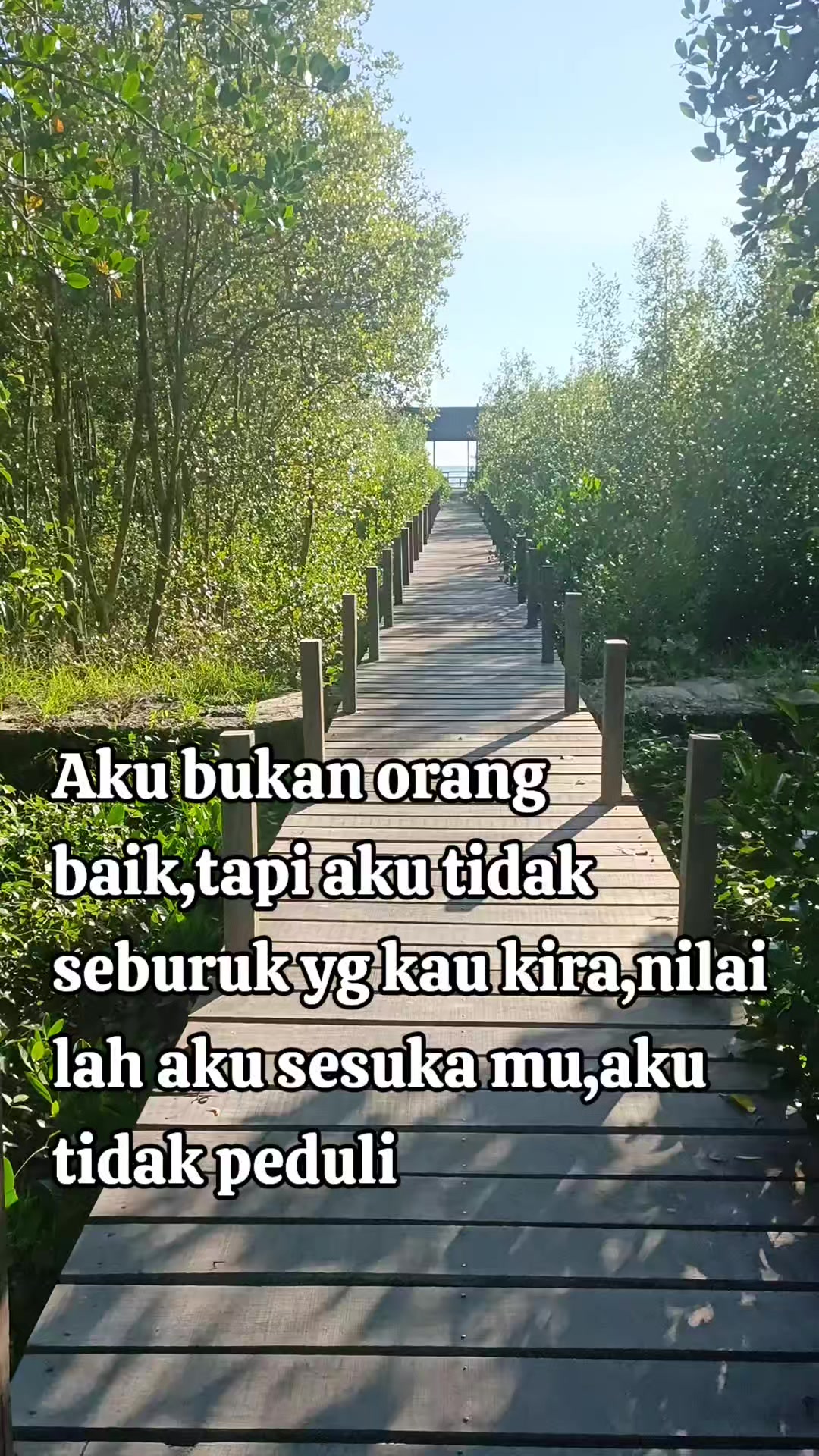 @Cece Lie_____