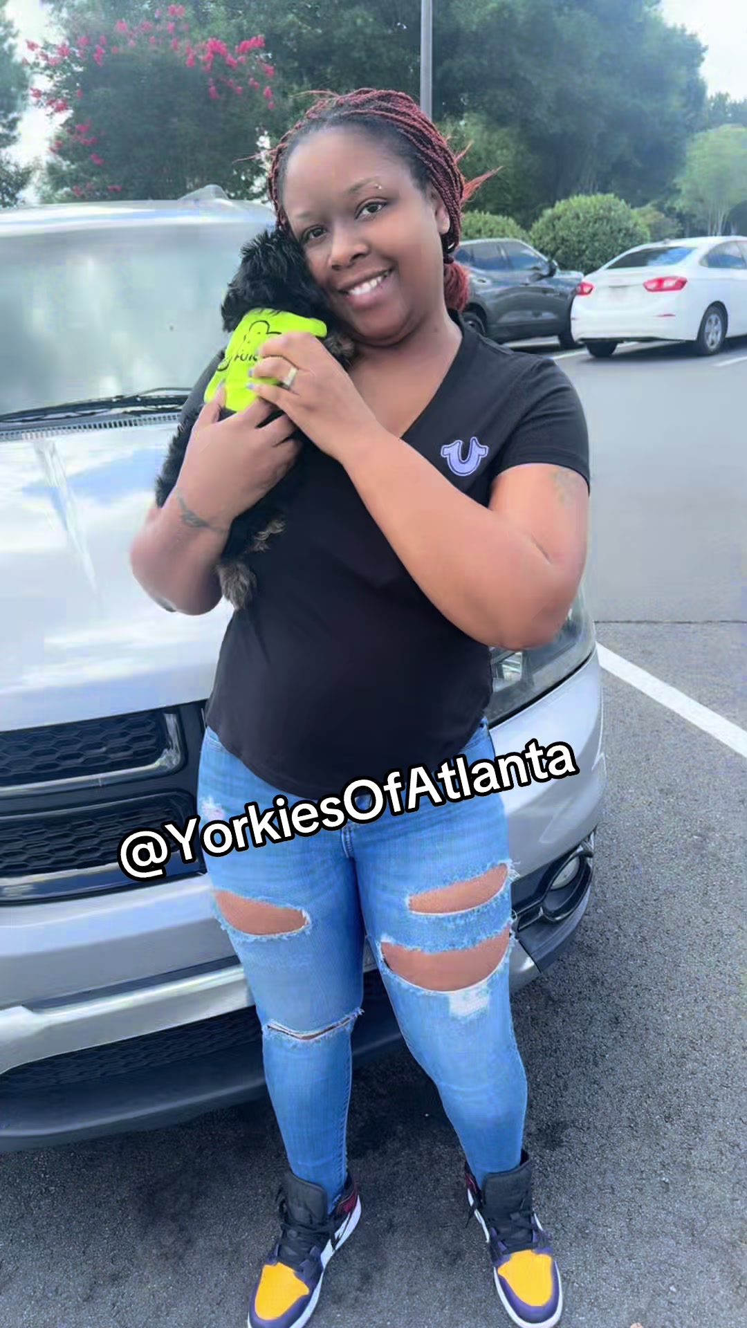 @Yorkies Of Atlanta