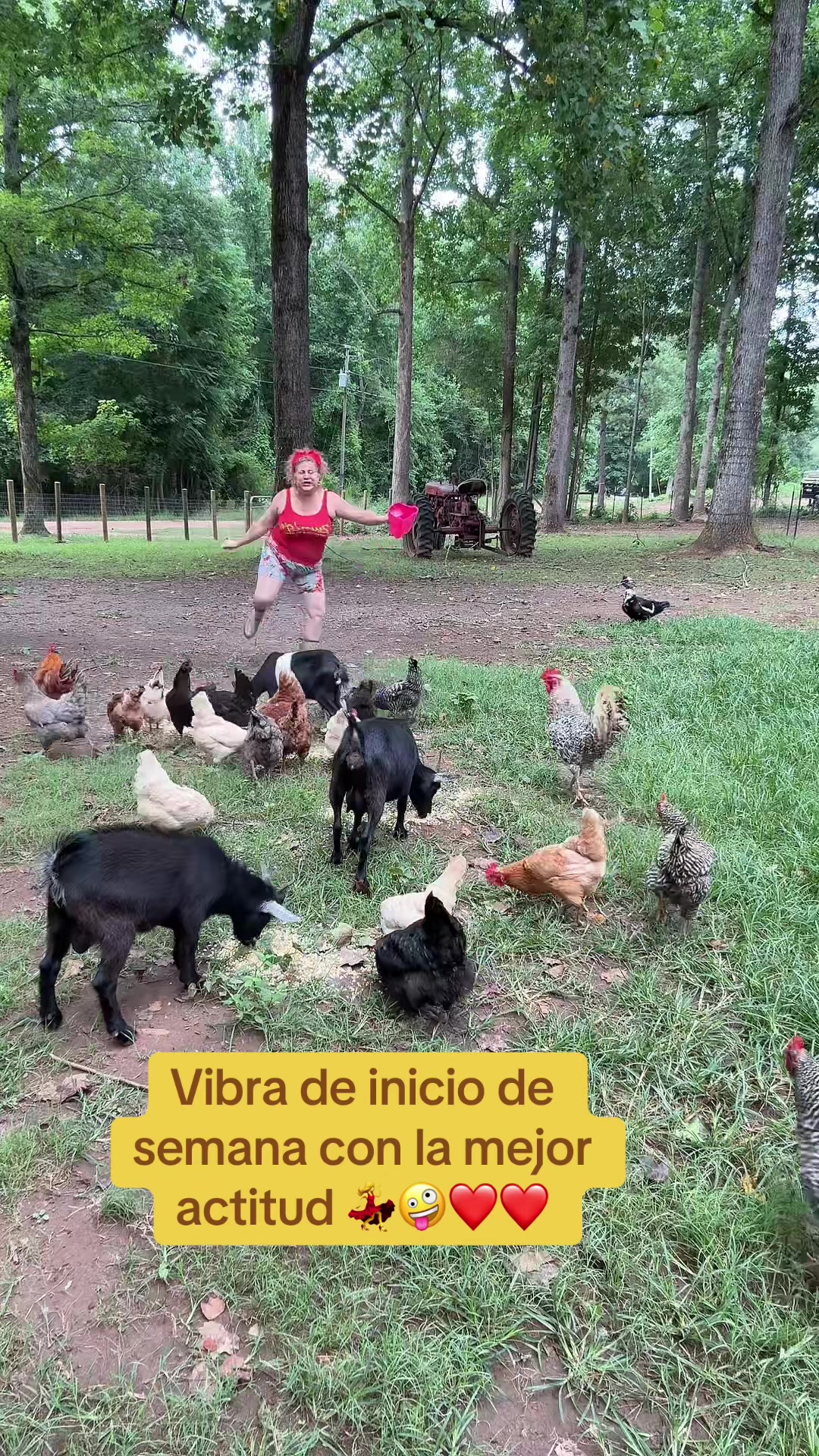 @Soleny