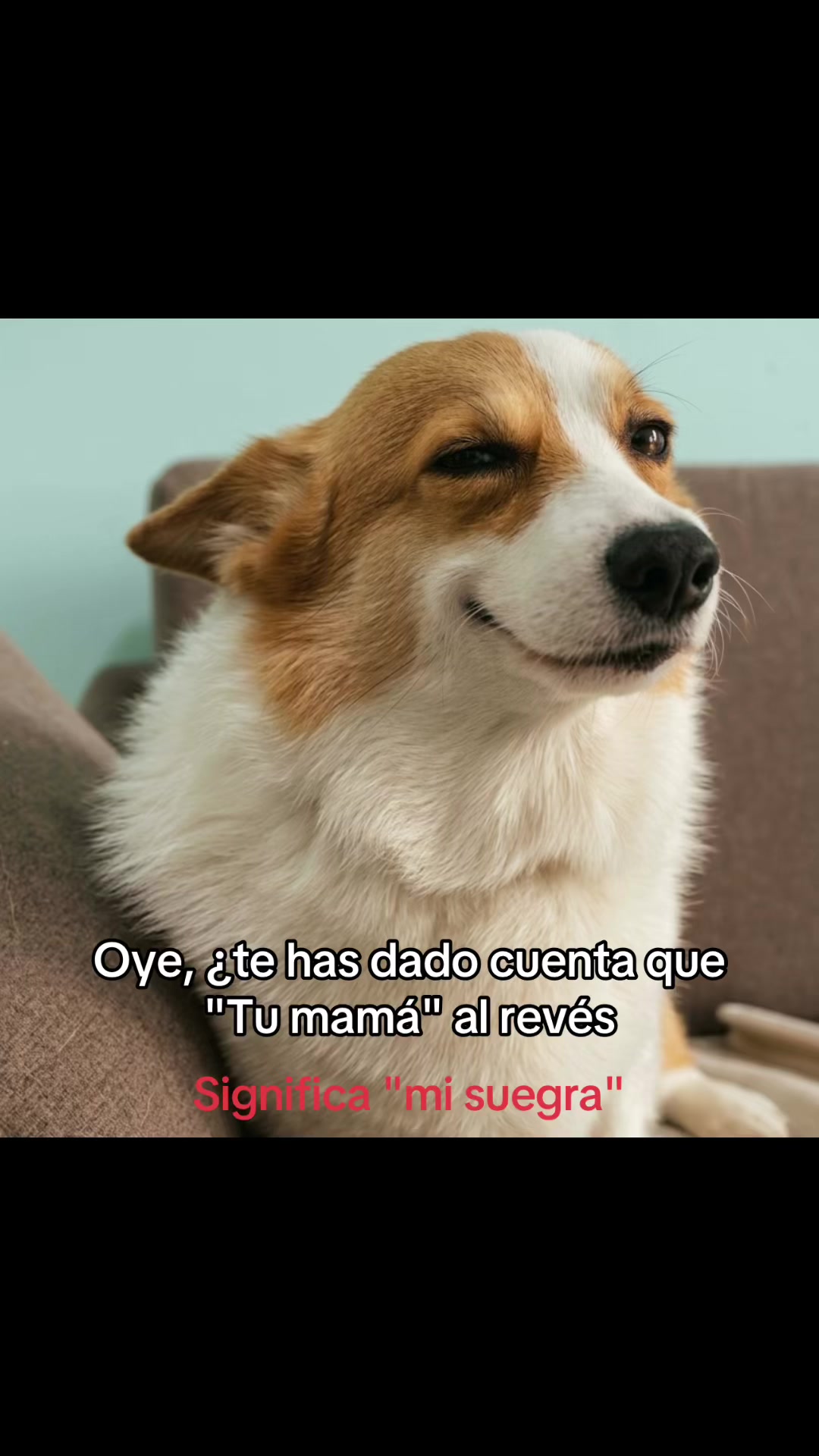 @saulburgosp2.0