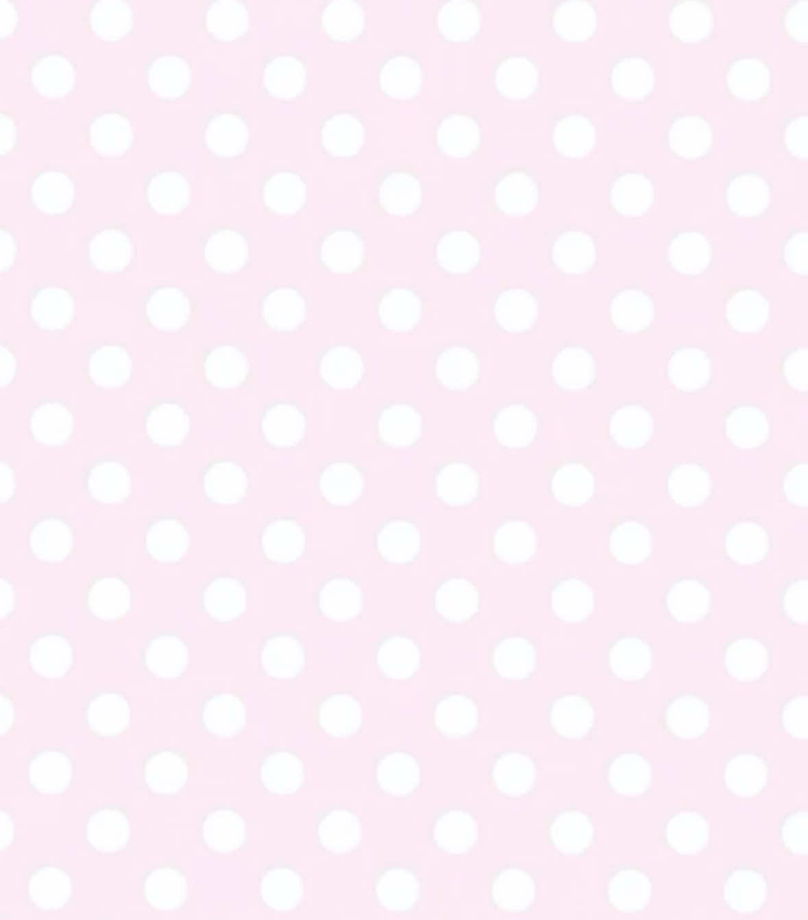 @꒰ঌ໒꒱ ˚₊ ℳ𝒾𝓈ℴ ₊˚🪽ෆ