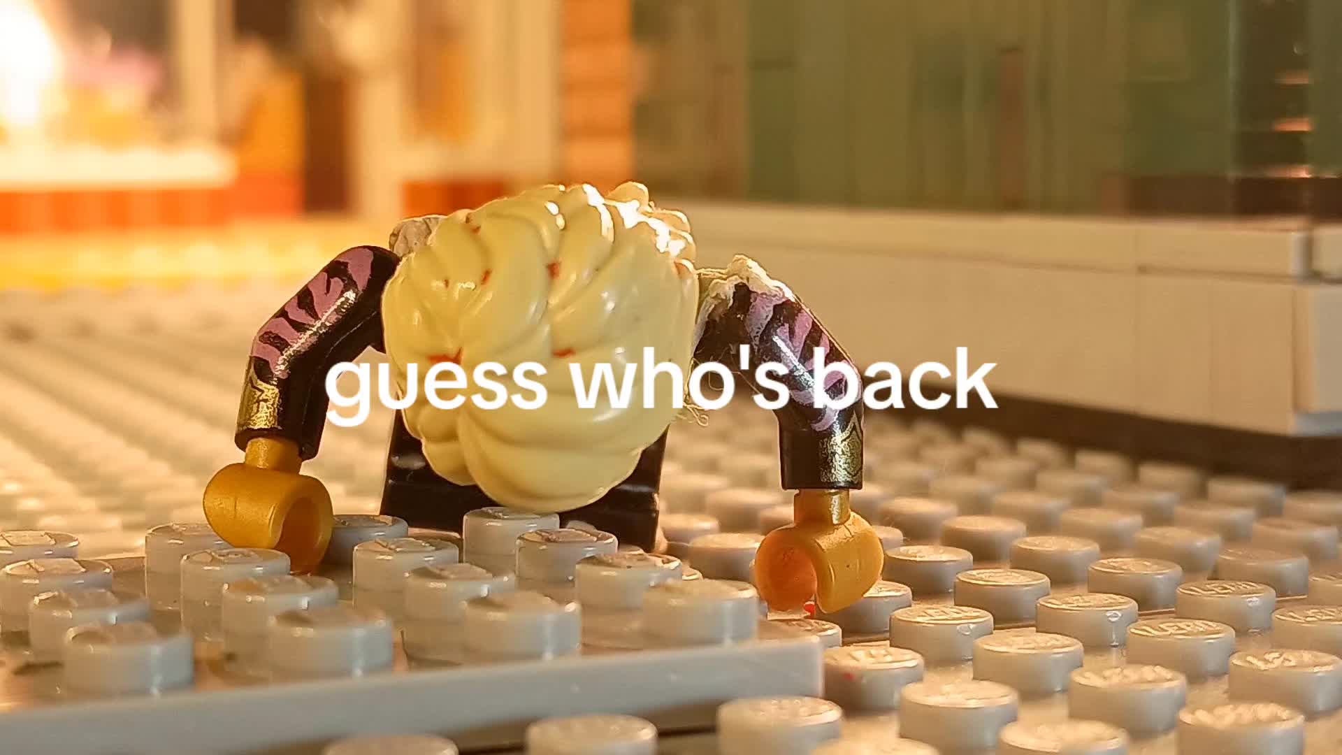 @guardianstopmotion