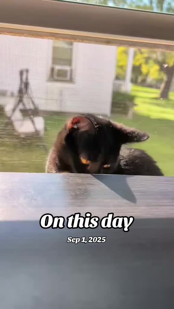 @Natebuilds87
