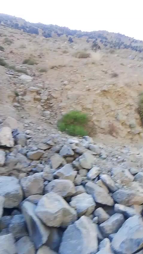 @Asif jakhrani🧿