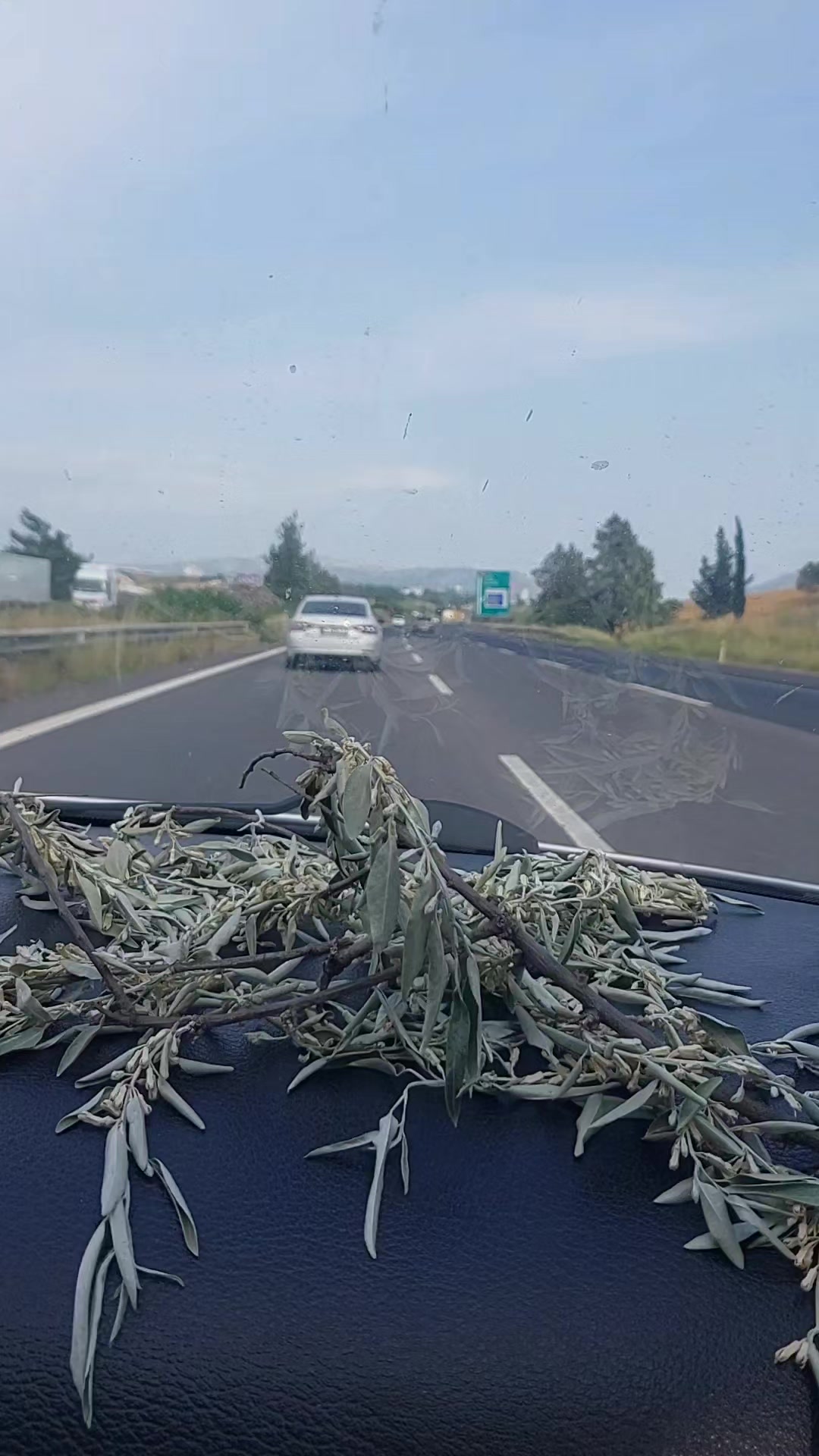 @🚜🇹🇷K@D!R YIKILM@Z🇹🇷🚜