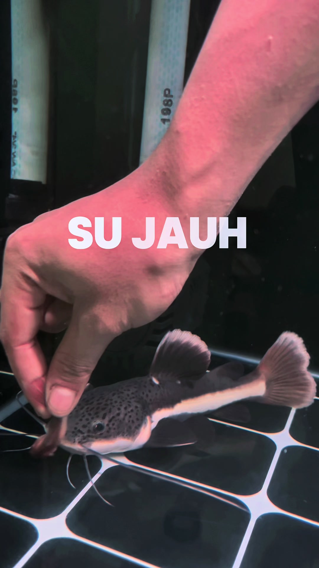 @𝐧𝐨𝐫𝐛𝐞𝐫𝐭𝐮𝐬.𝐛𝐚𝐲𝐮