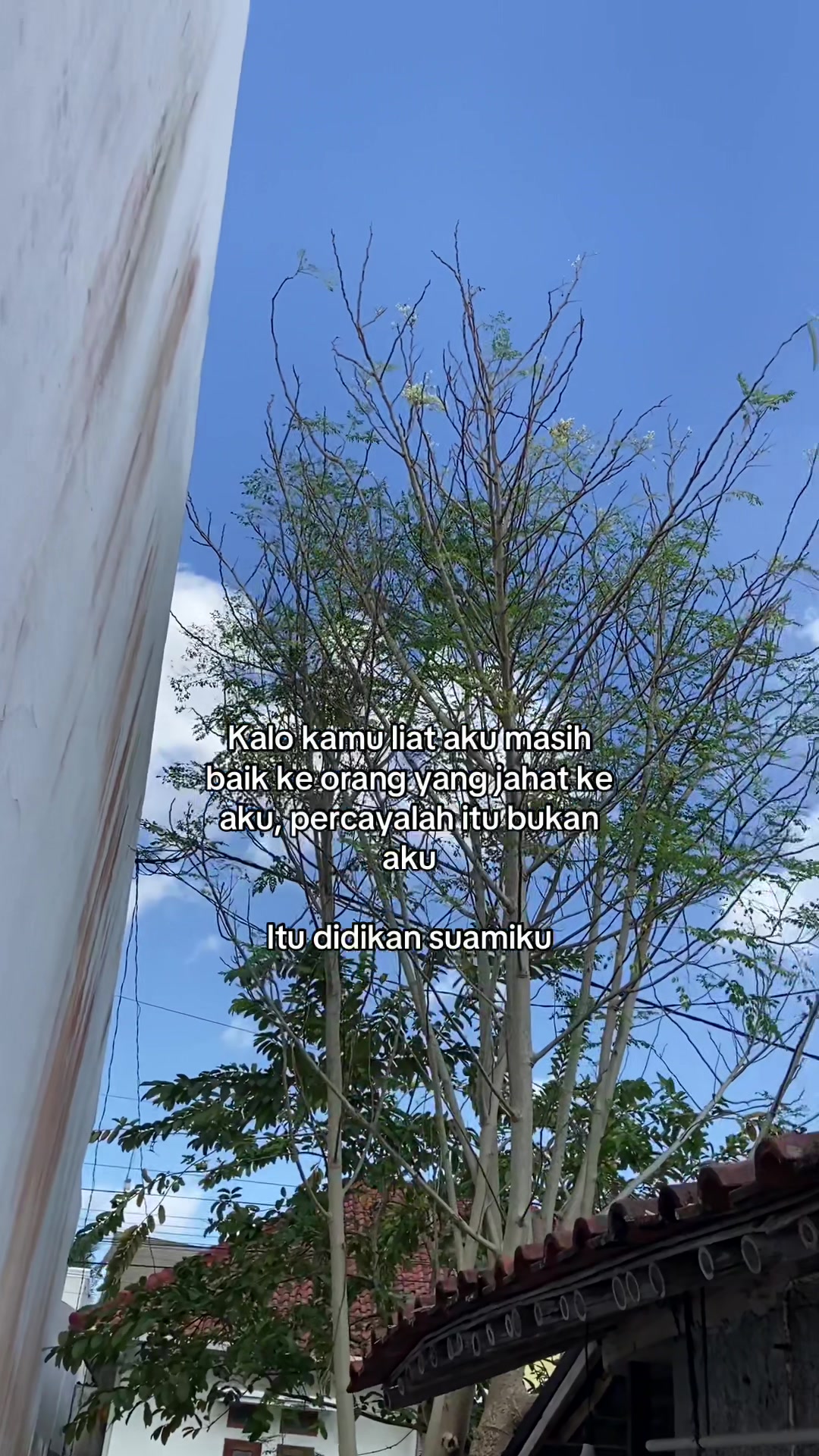 @AbeBeEo
