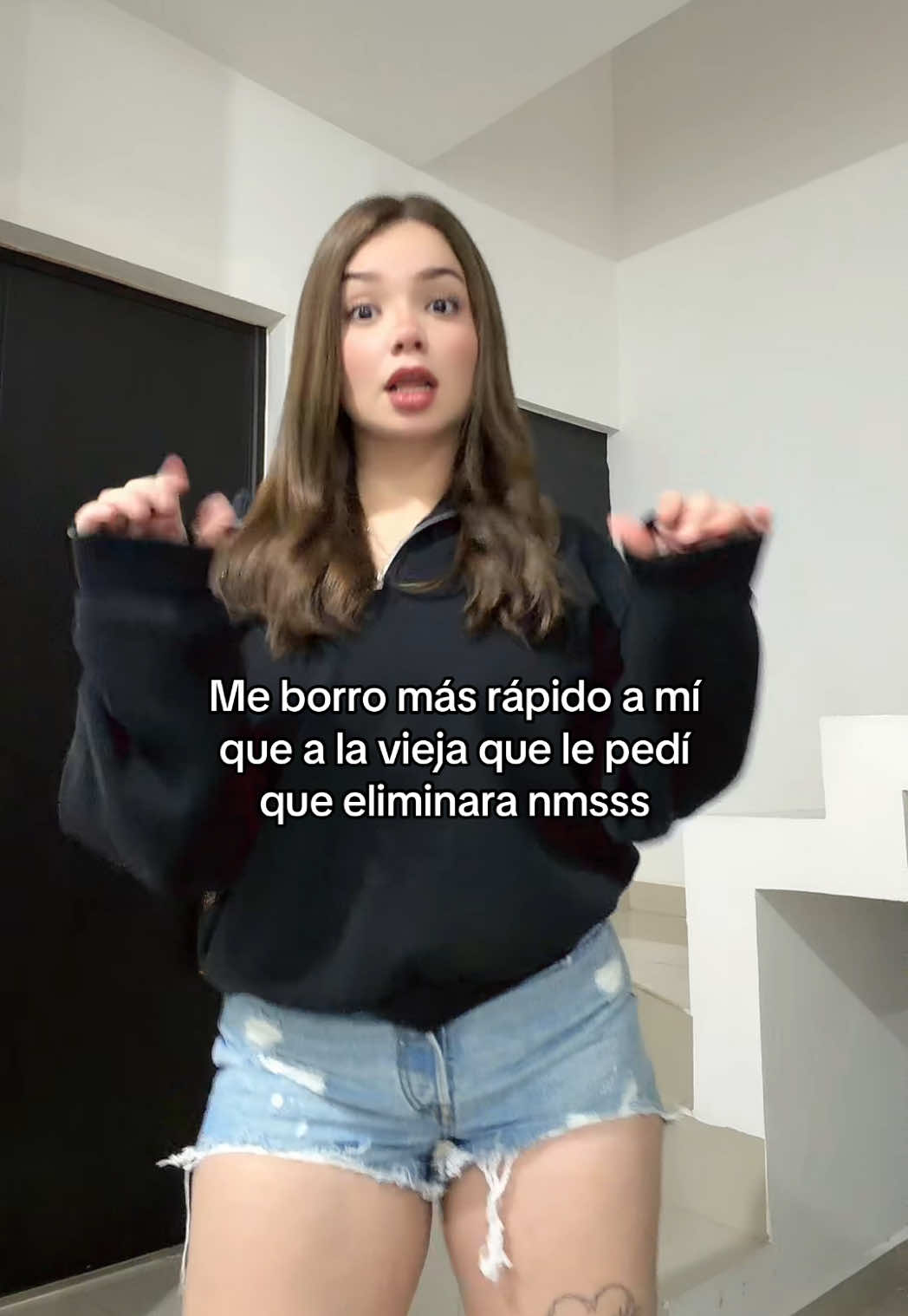 @Ivi 🦖