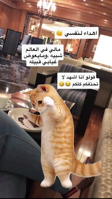 @الإعلامية🎖️سارا العثمان