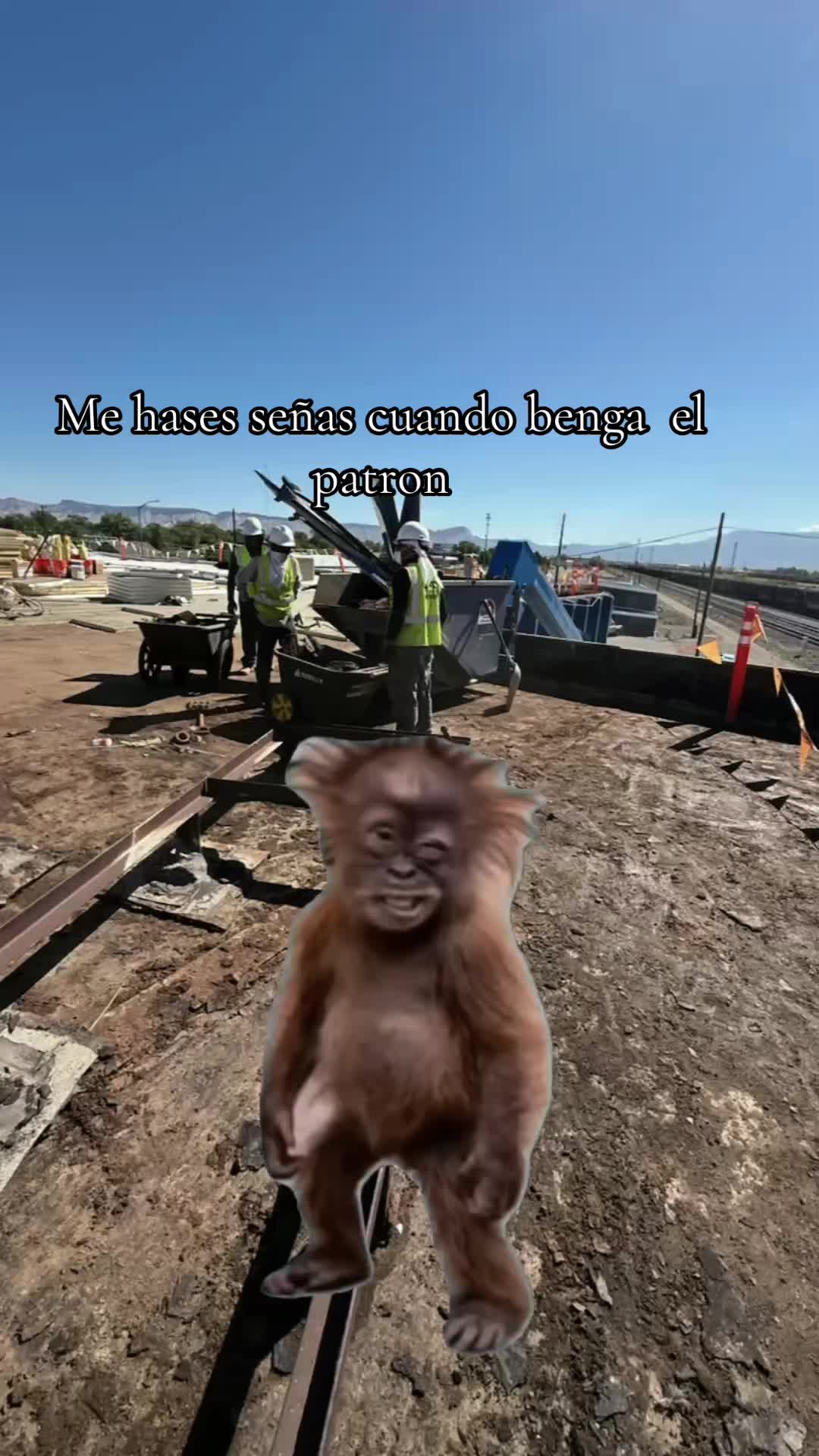 @Luis Franco