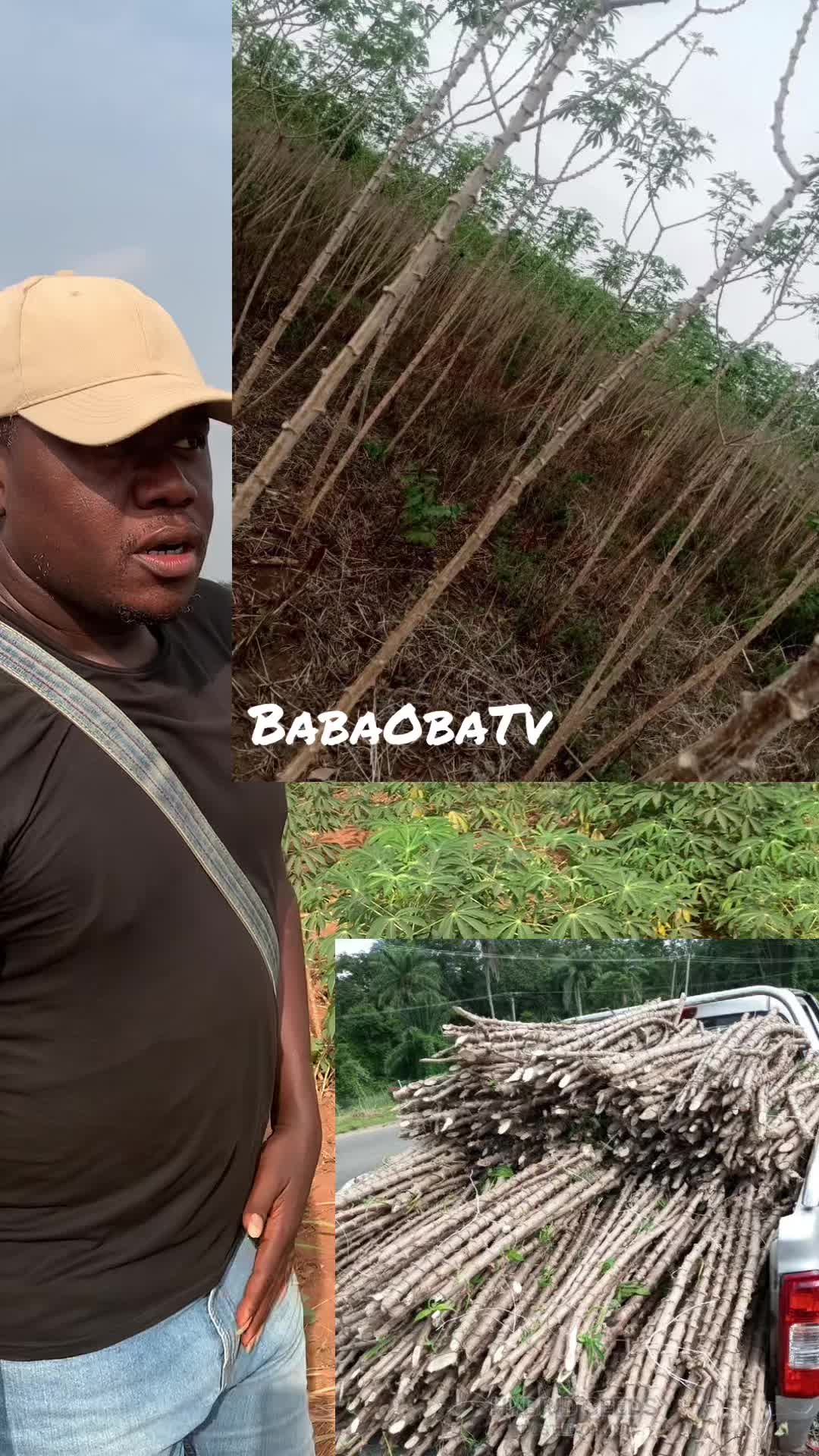 @BabaObaTv @Yuki Agro limited