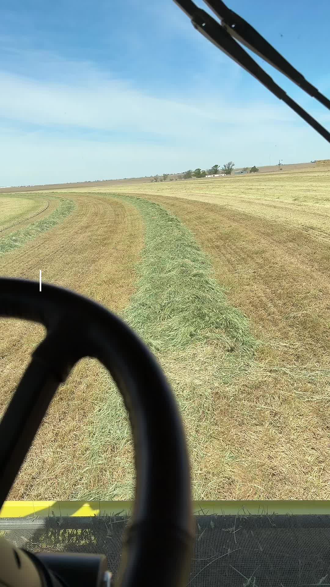 @806Texas