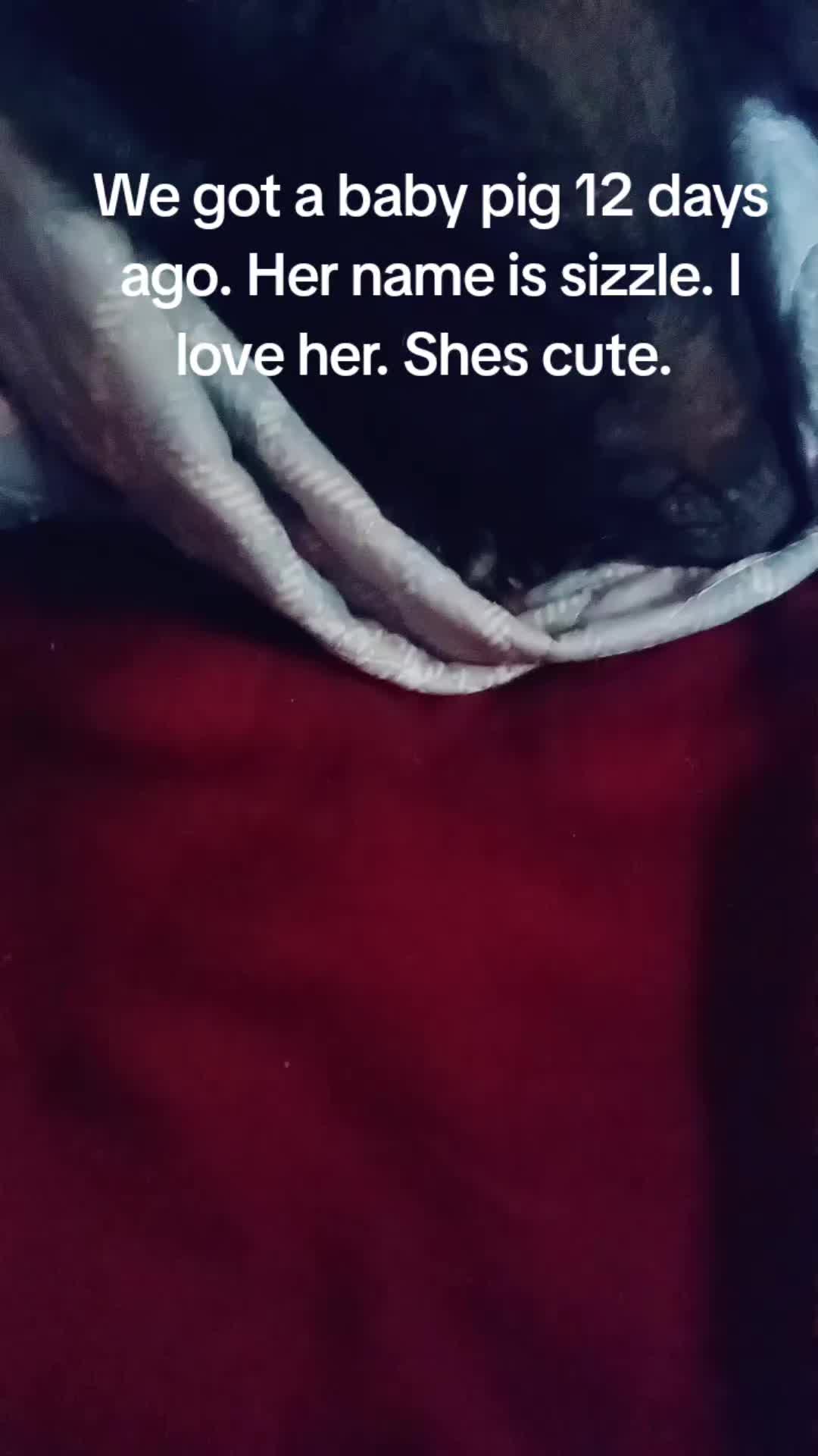 @imradandcool