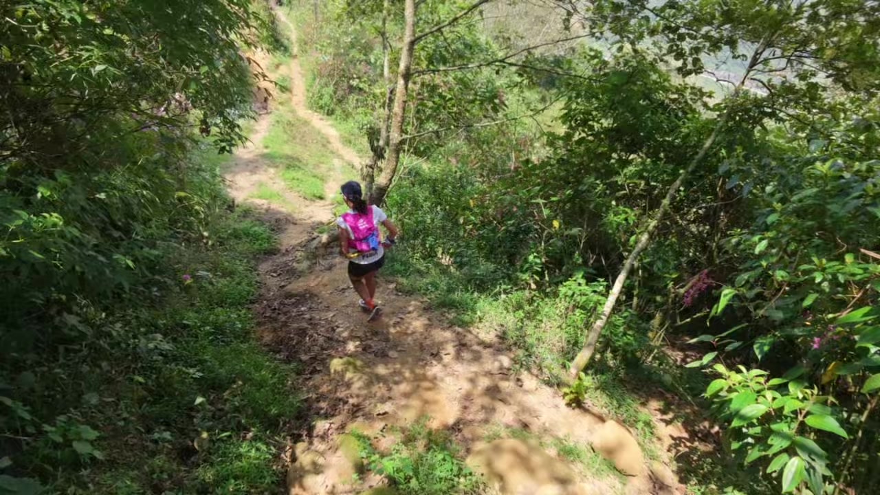 @hahautrailrunner