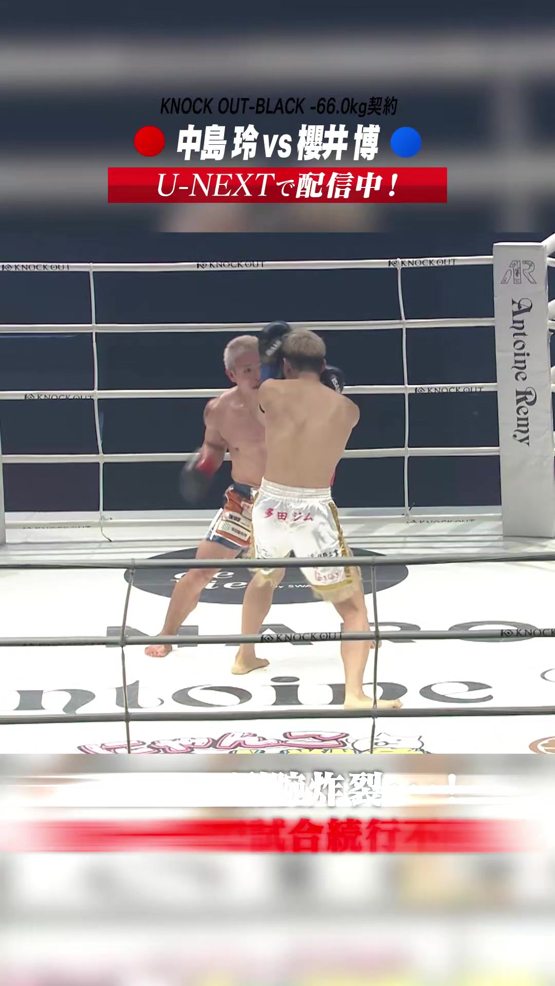 @KNOCK OUT(ノックアウト)公式