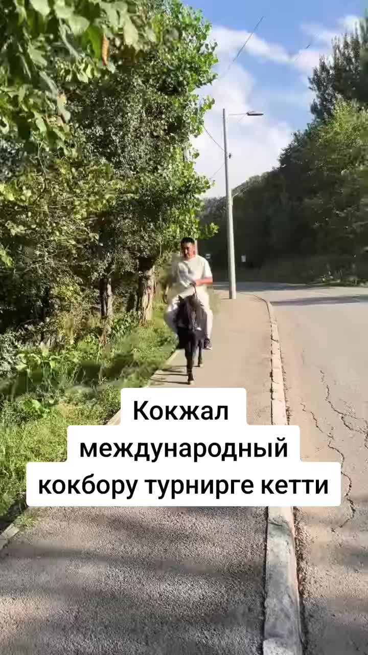 @Дикий Карышкыр🐺