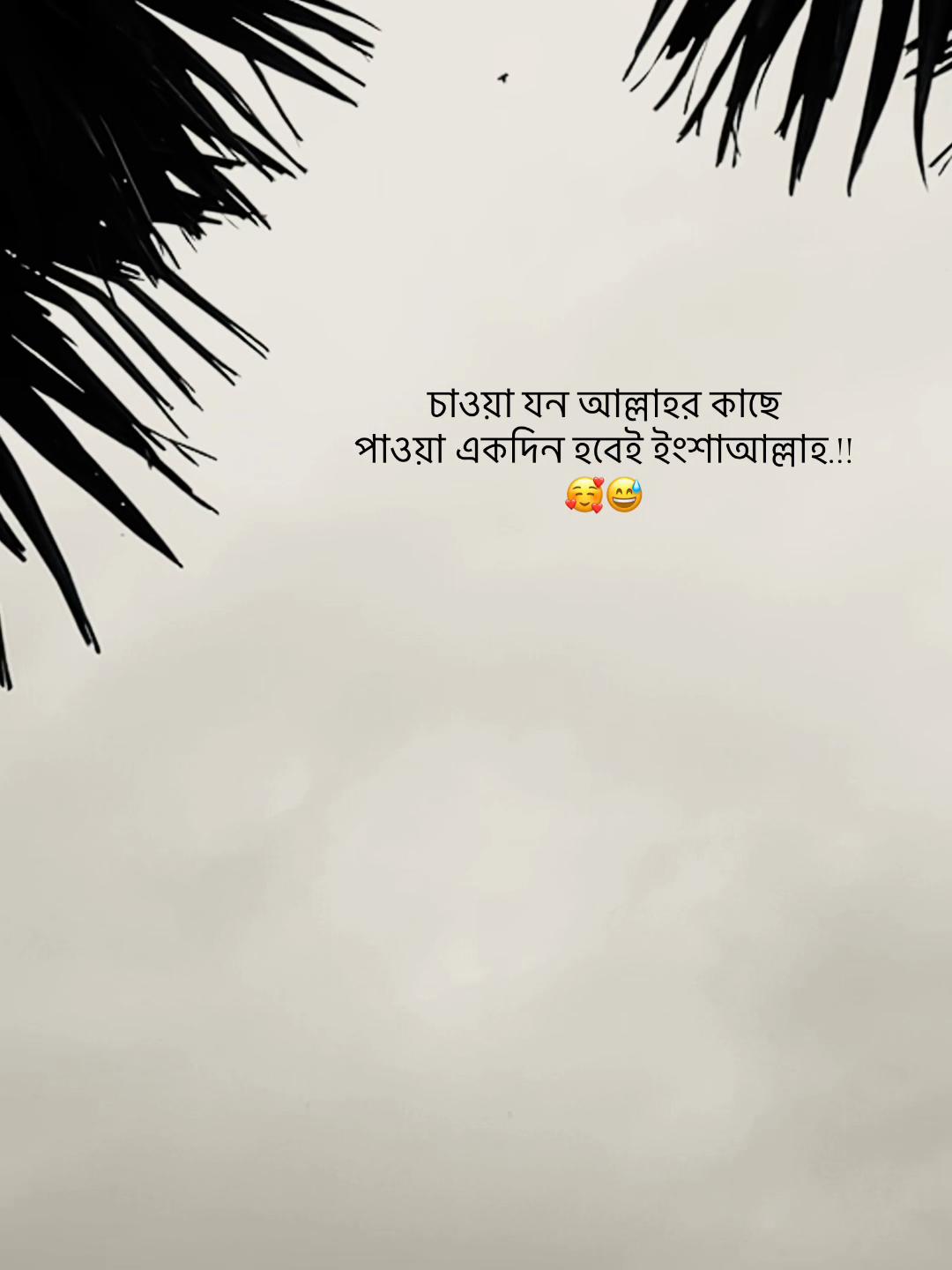@đŗī¸A Z I M đĢ