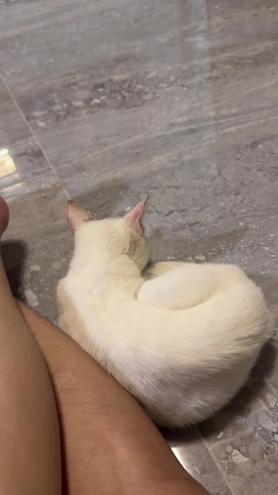 @Sgt.46♡