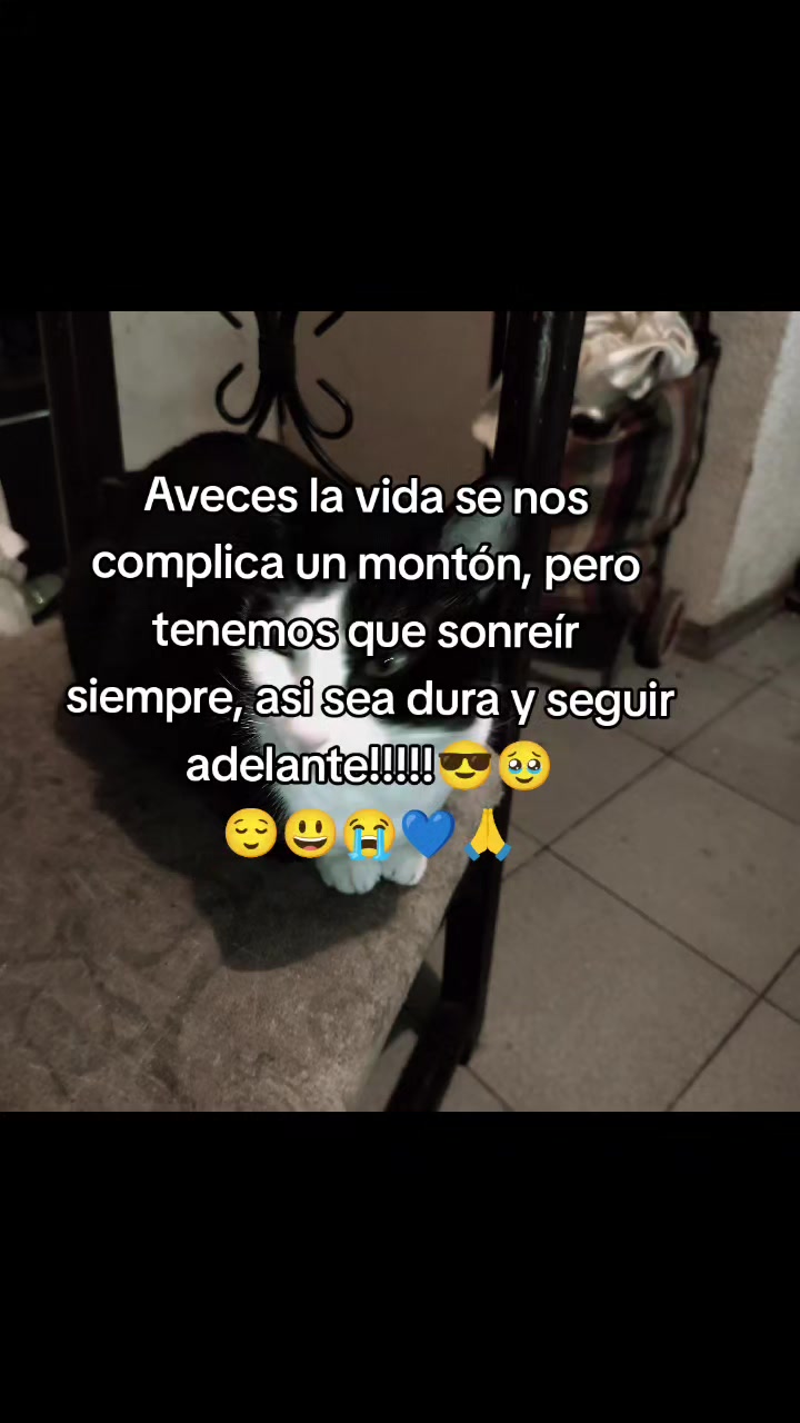 @Miguel.A.Astraldi