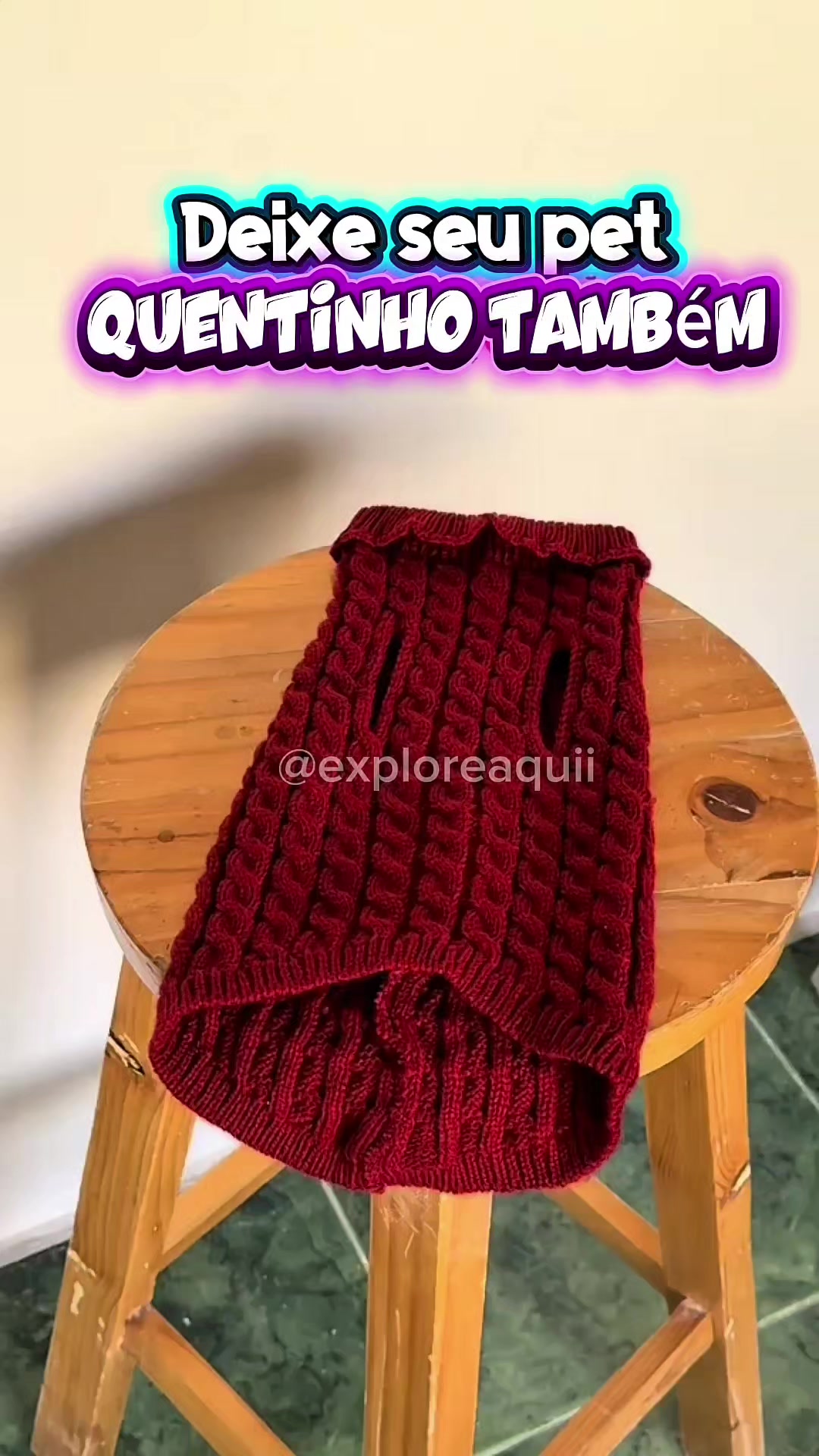 @Explore Aquii 🐾🐾✨️