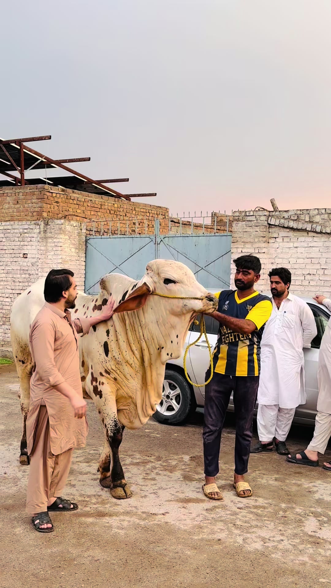 @Shahbaz Khan