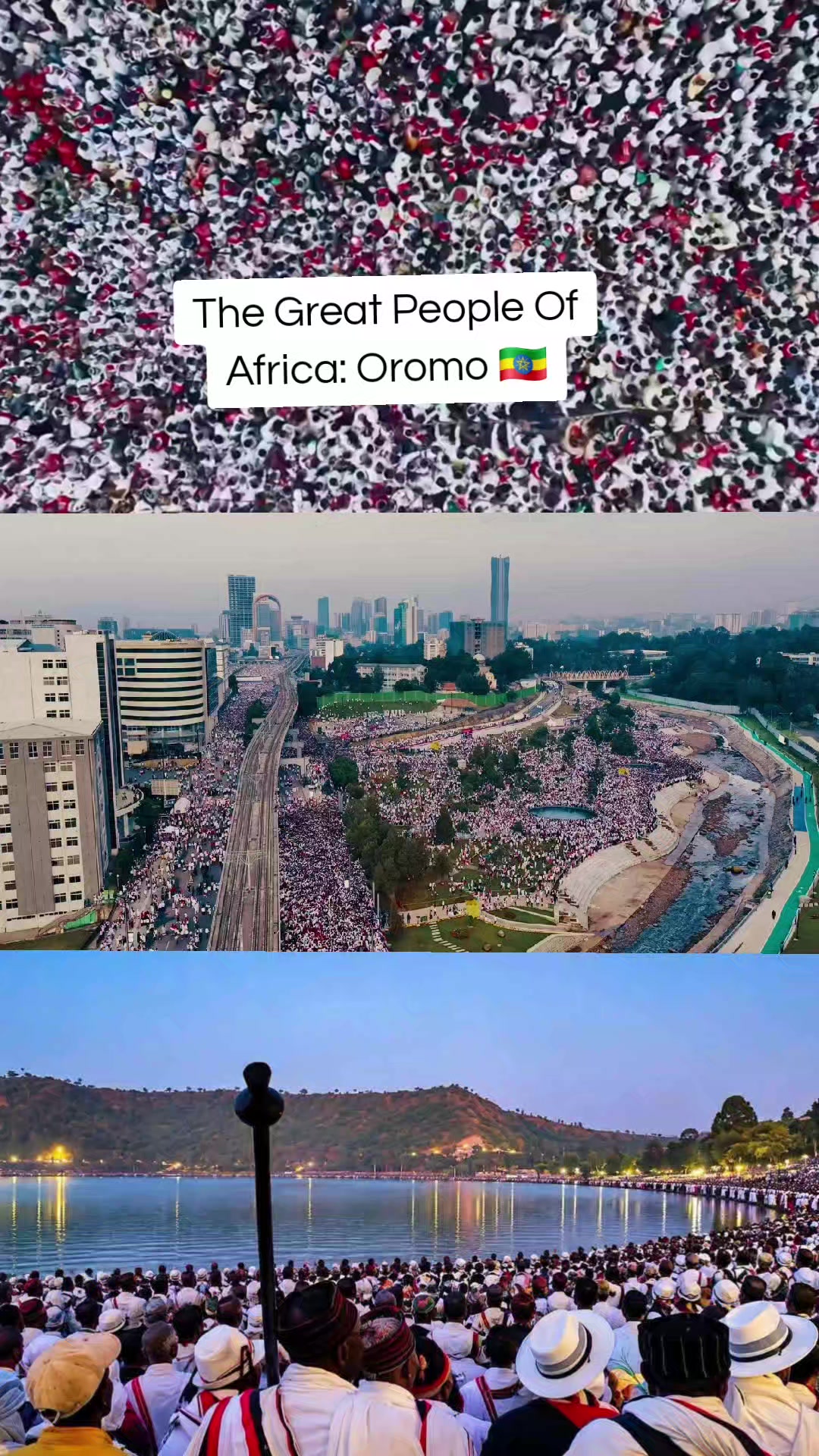 @Shimallis Abdisa Parody