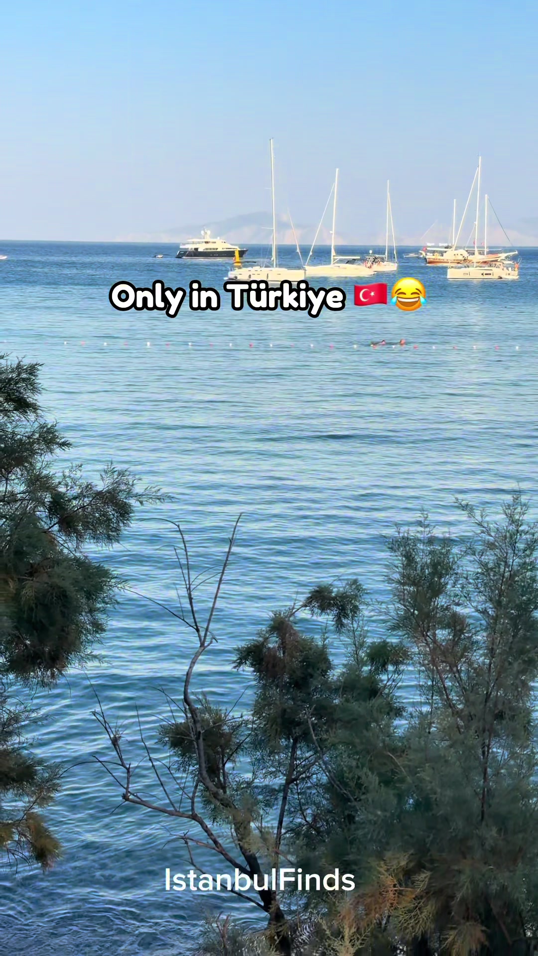 @IstanbulFinds🇹🇷