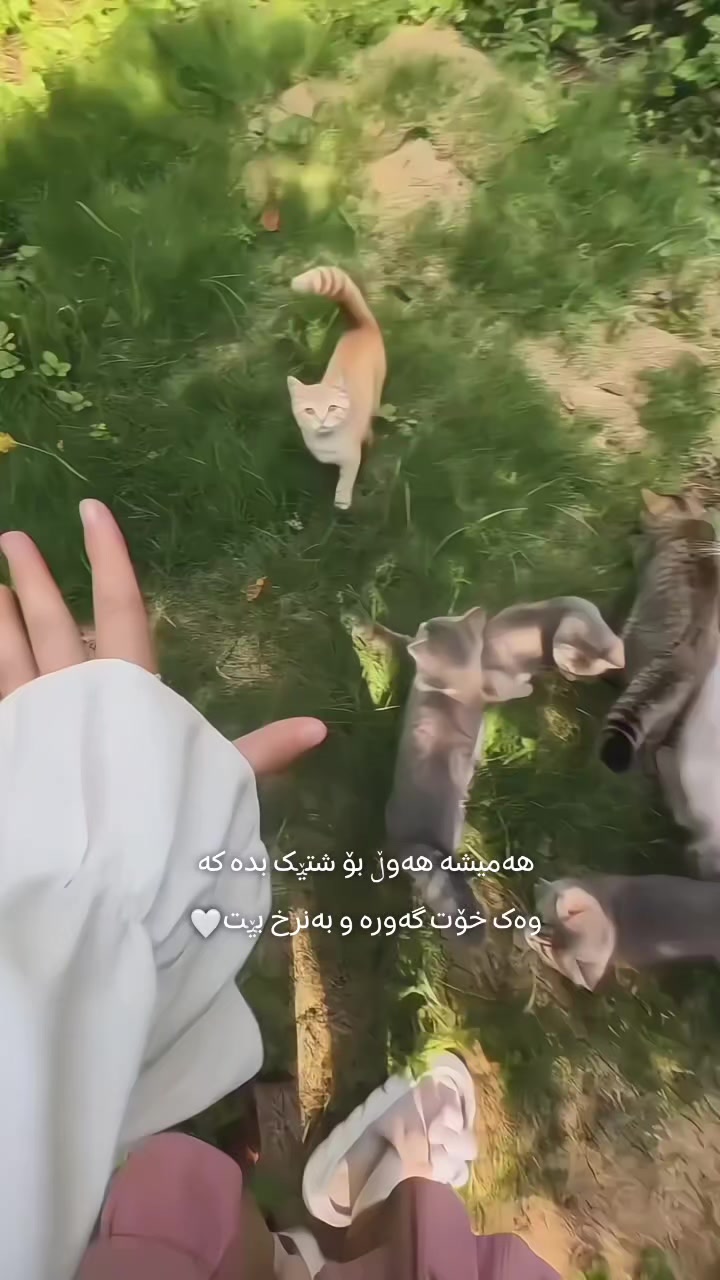 @تیـانـا❤🐈