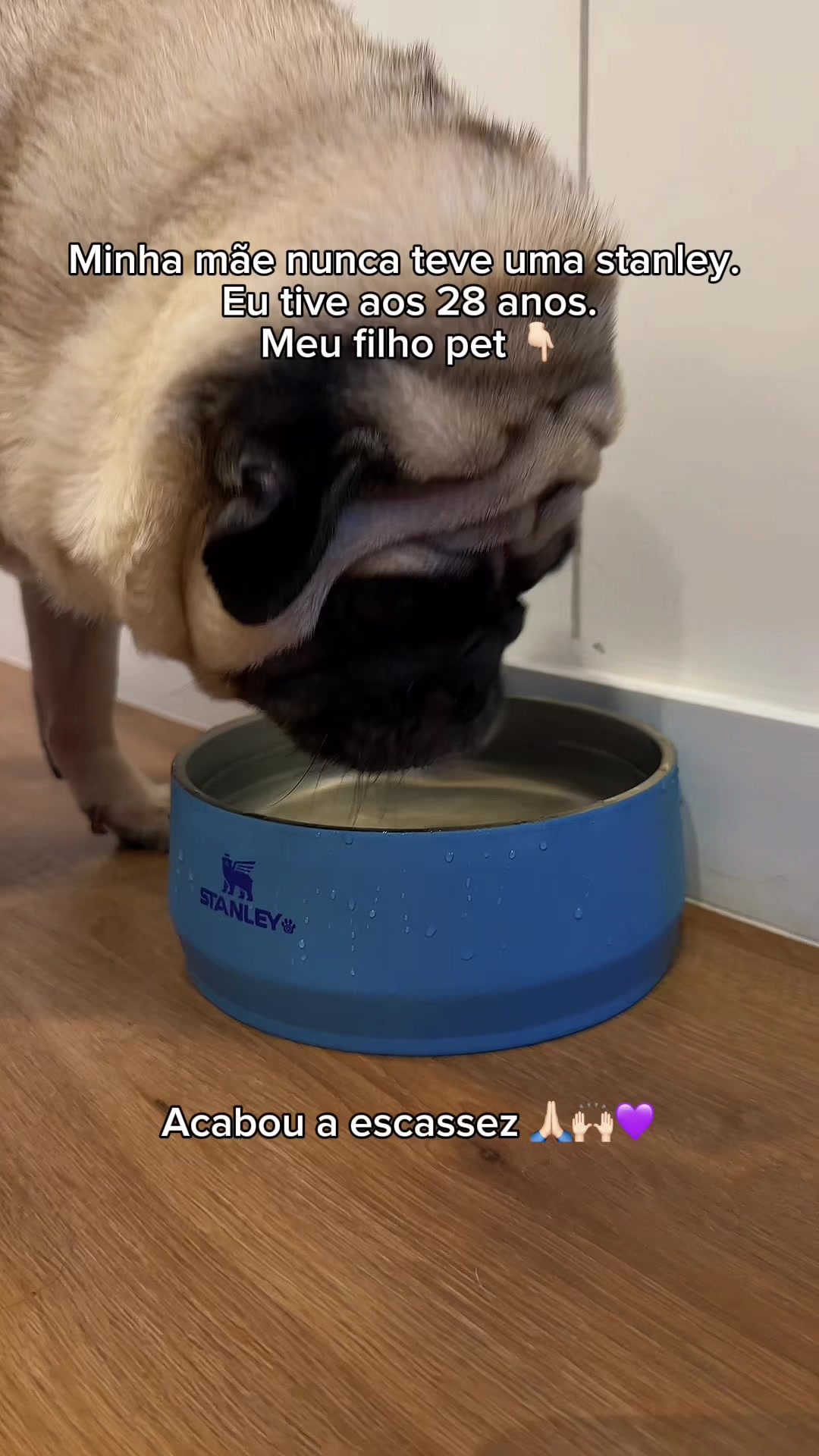 @FRANKINHO