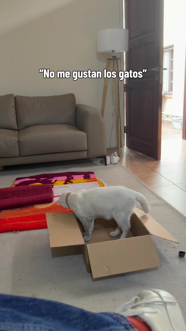 @Luc&iacute;a <3