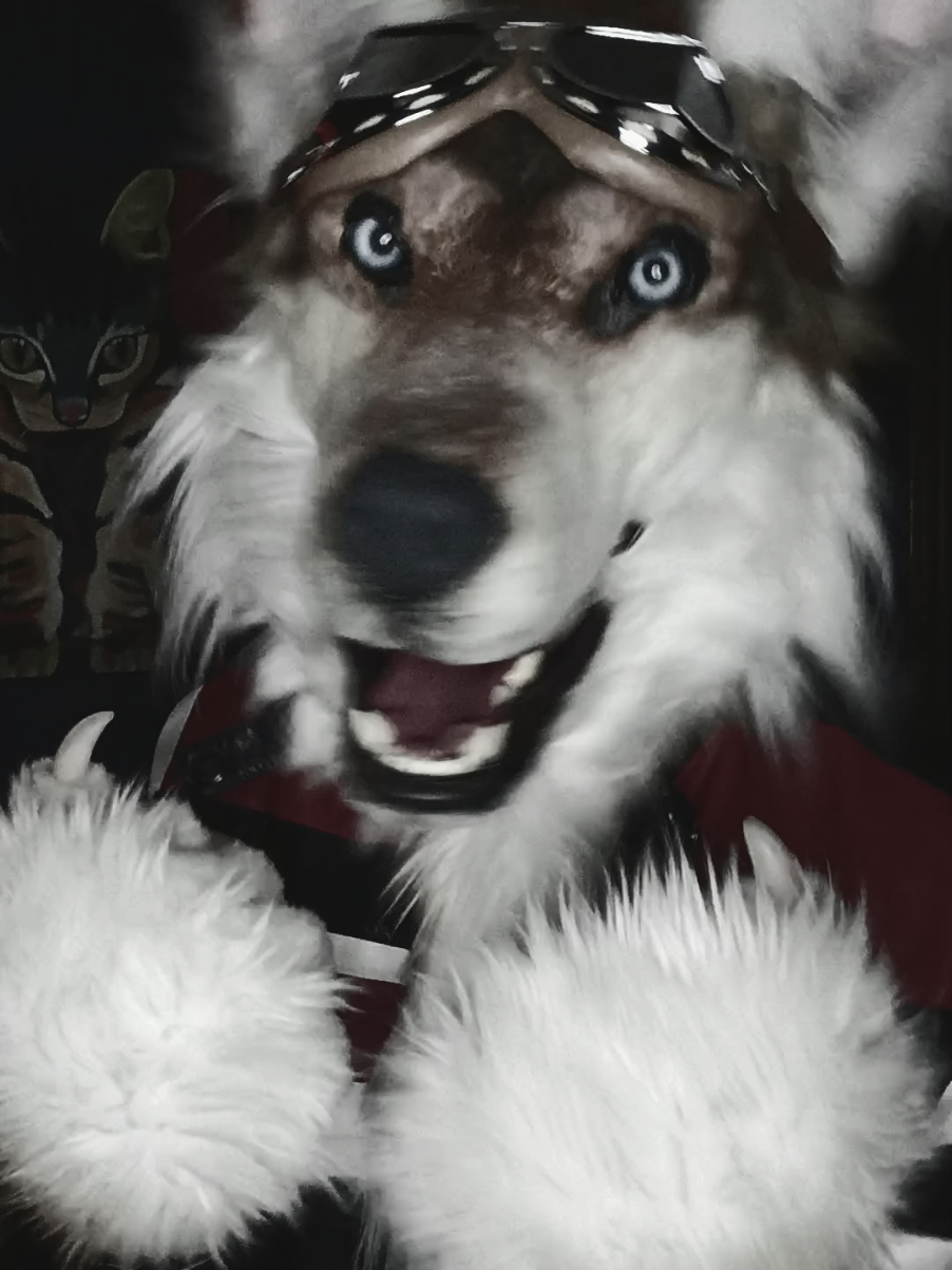 @SaltyFox