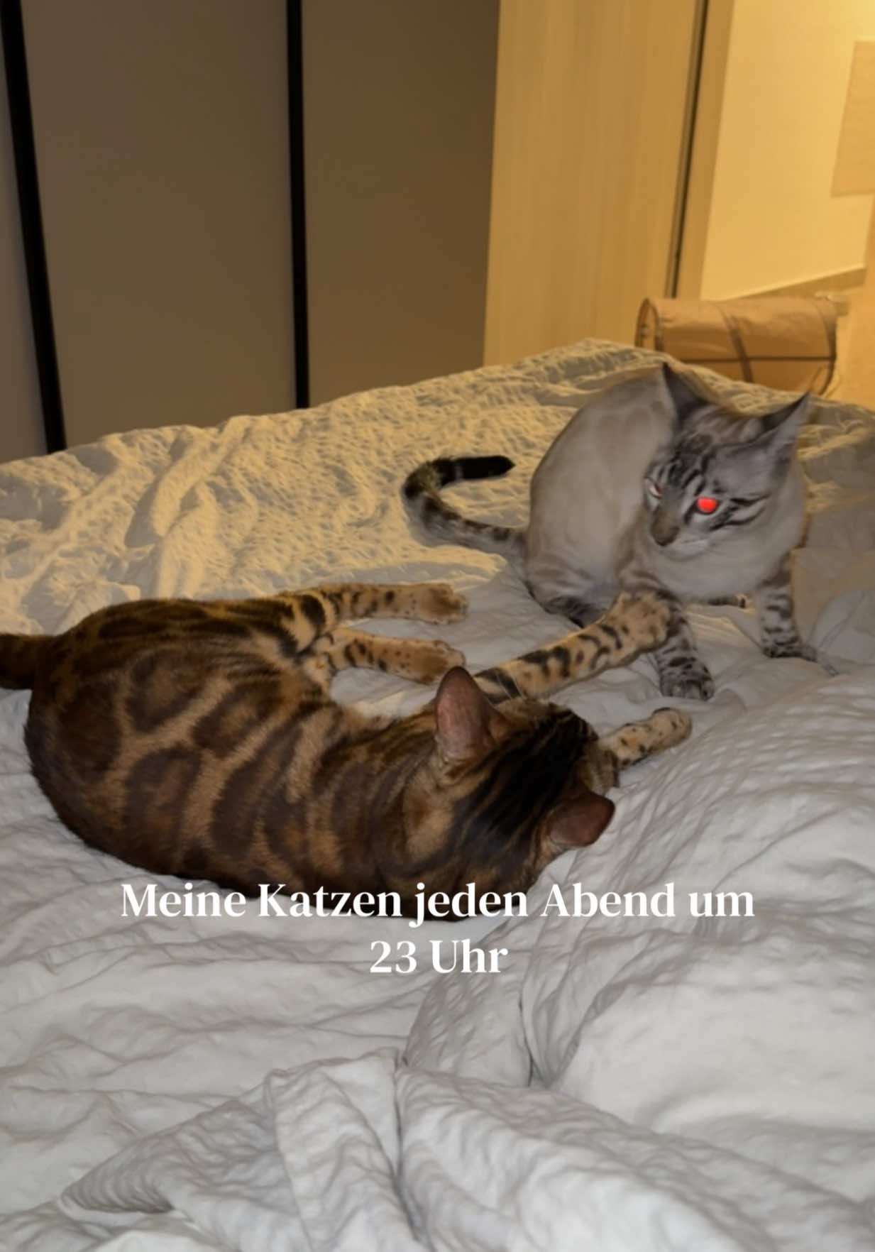 @ALINA 🐆🤎