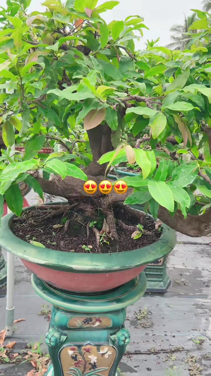 @Chichchoebong79