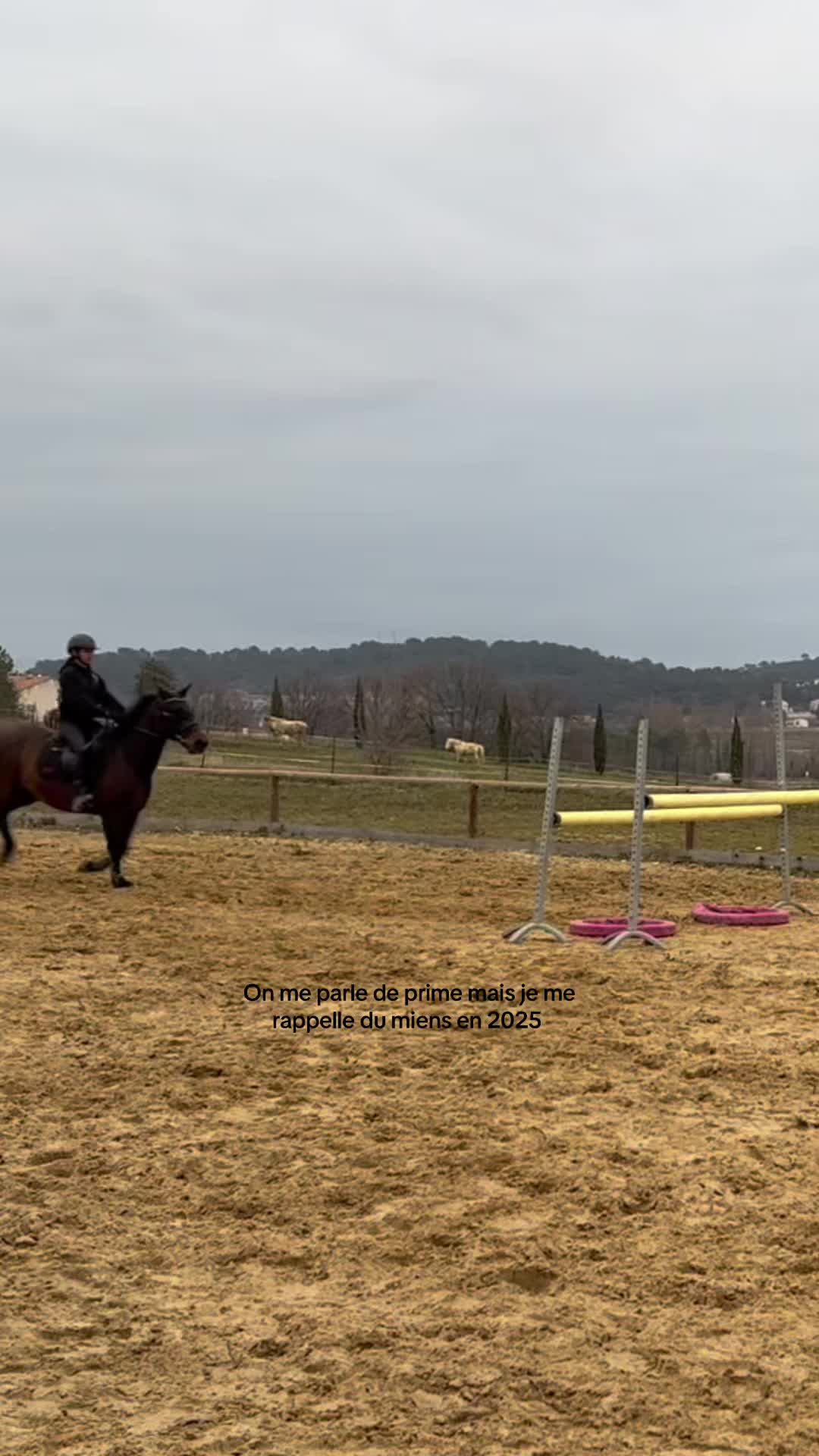 @Le&ensp;poney&ensp;qui&ensp;salut&ensp;les&ensp;jurys✨