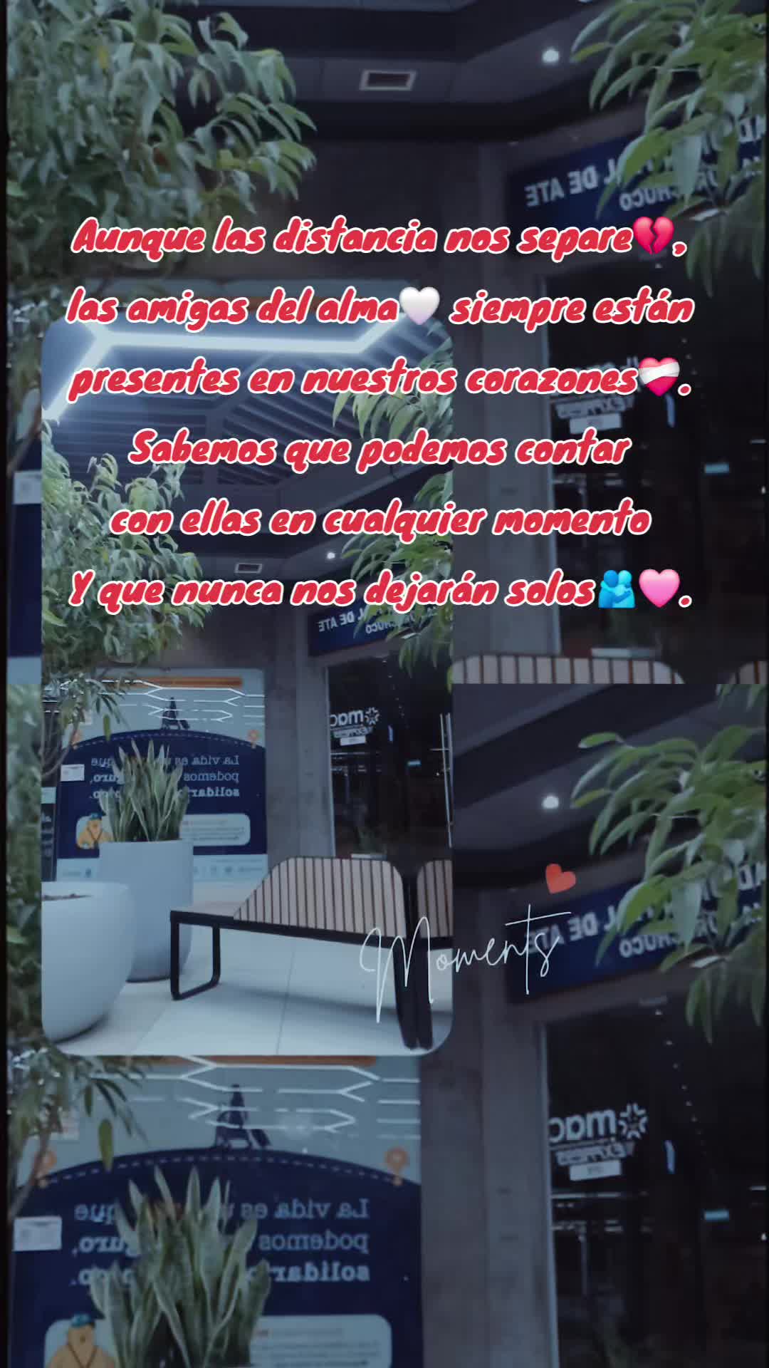 @N O R M A ❤️🔥✨️