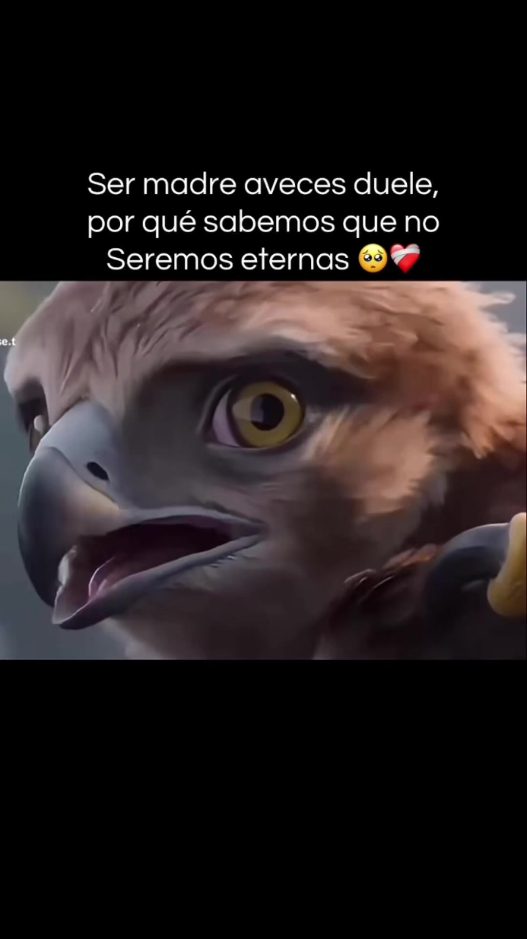 @ESPINOZA🇻🇪👑