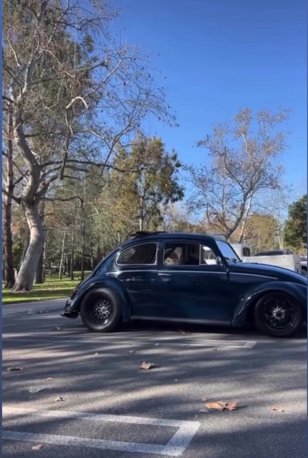 @RealstreetDino