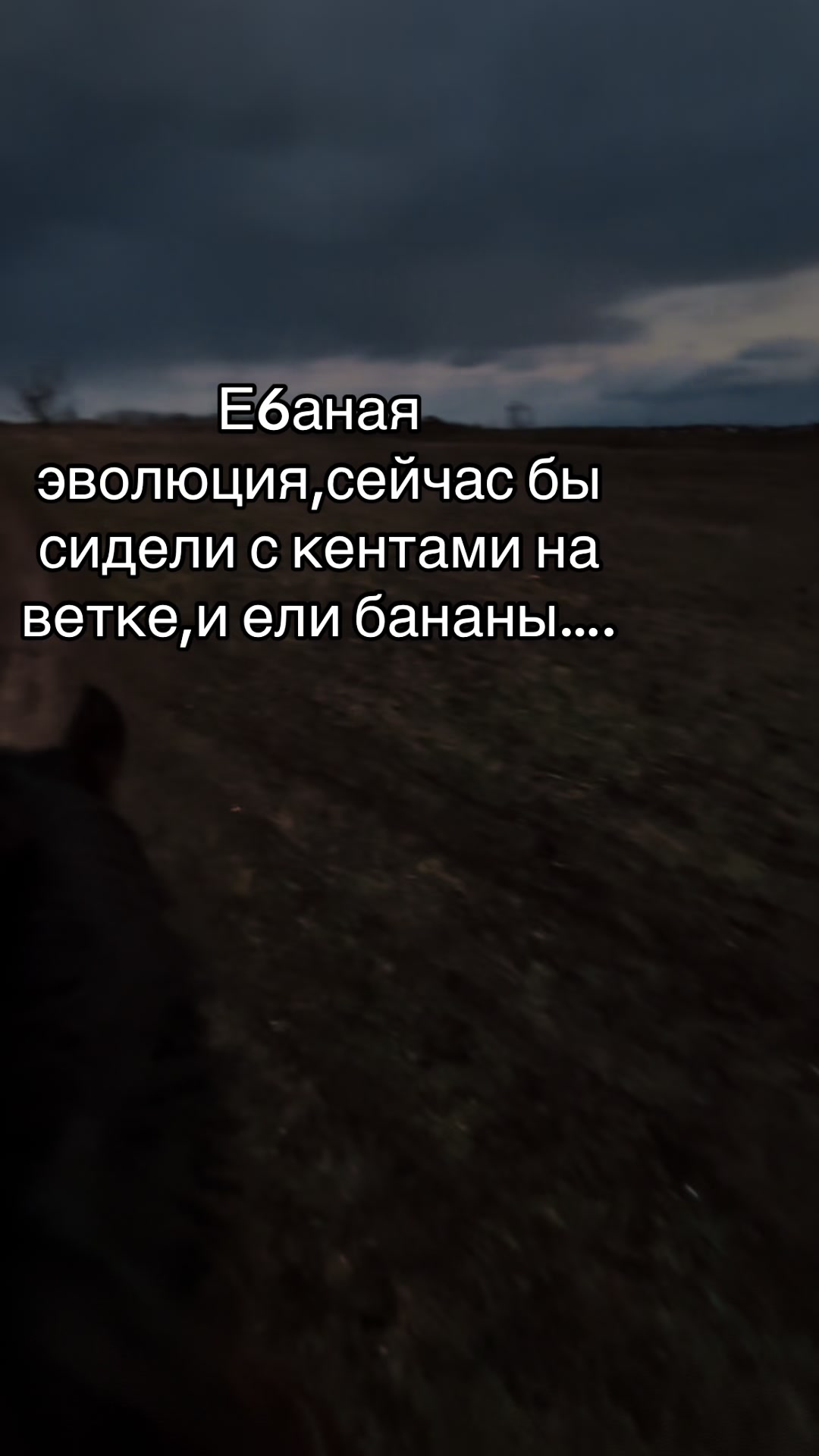 @dmitriy_mayer