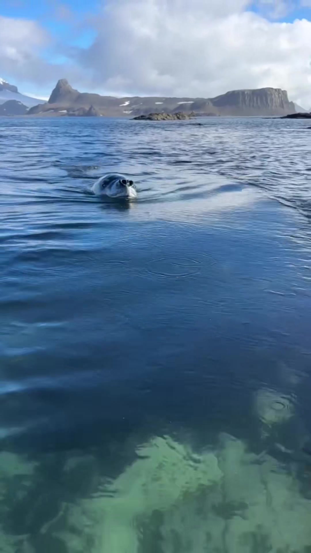 @FishTokDaily
