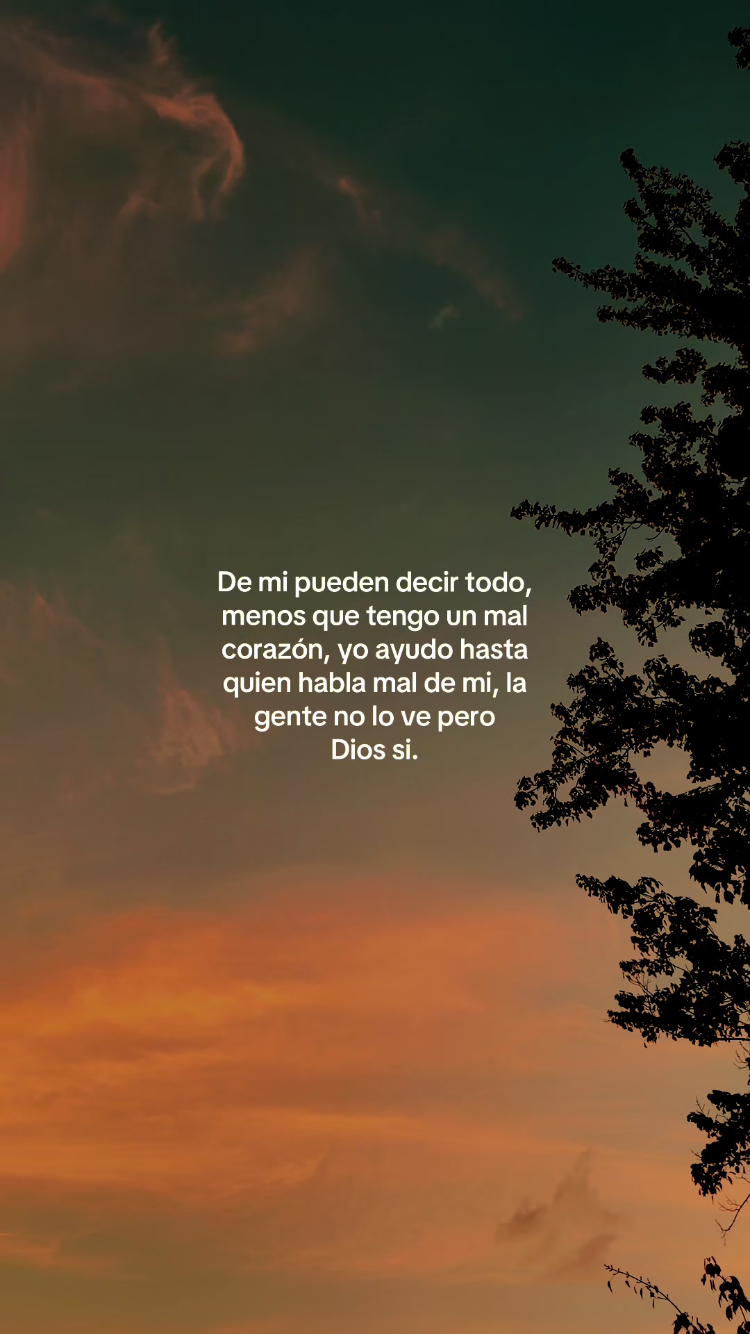 @Frases de todo un poco...