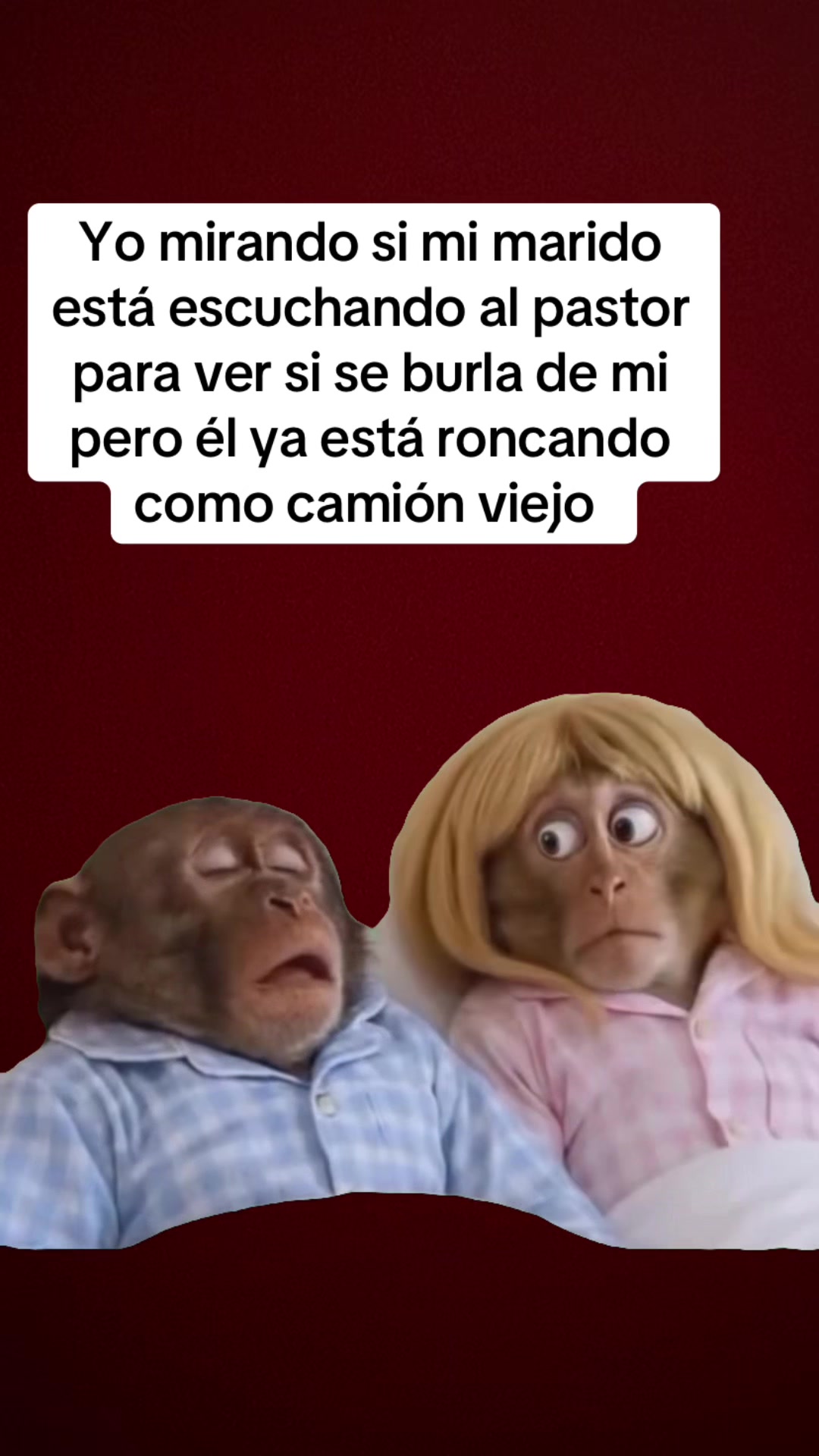 @Xioma