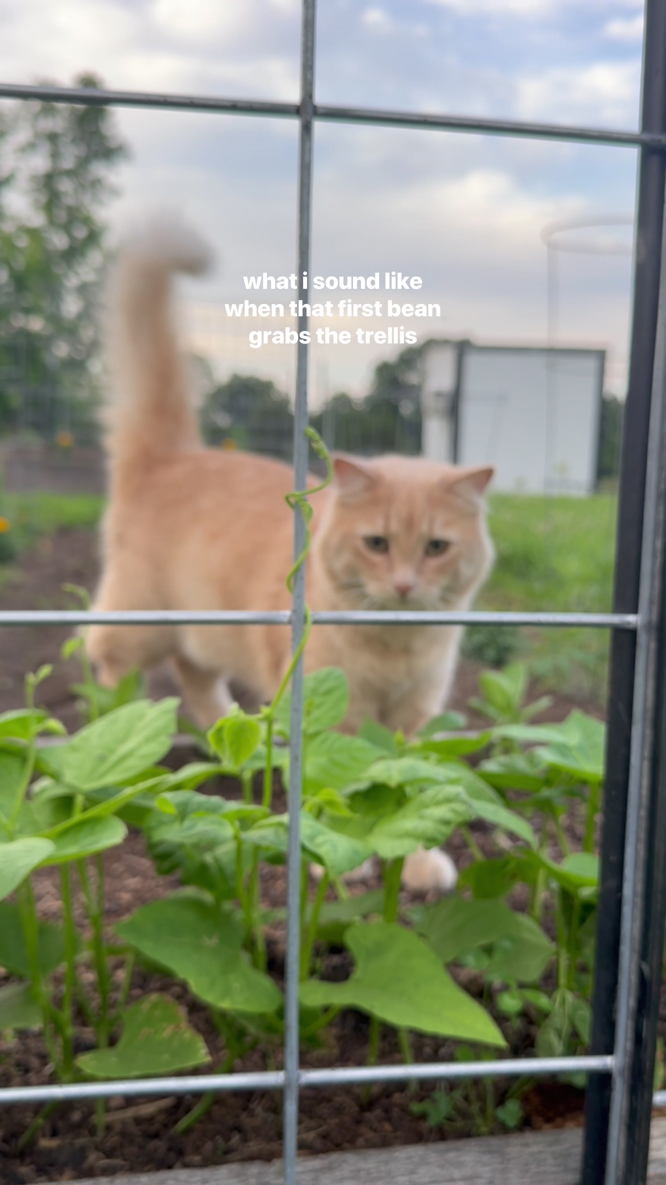 @kl2farms
