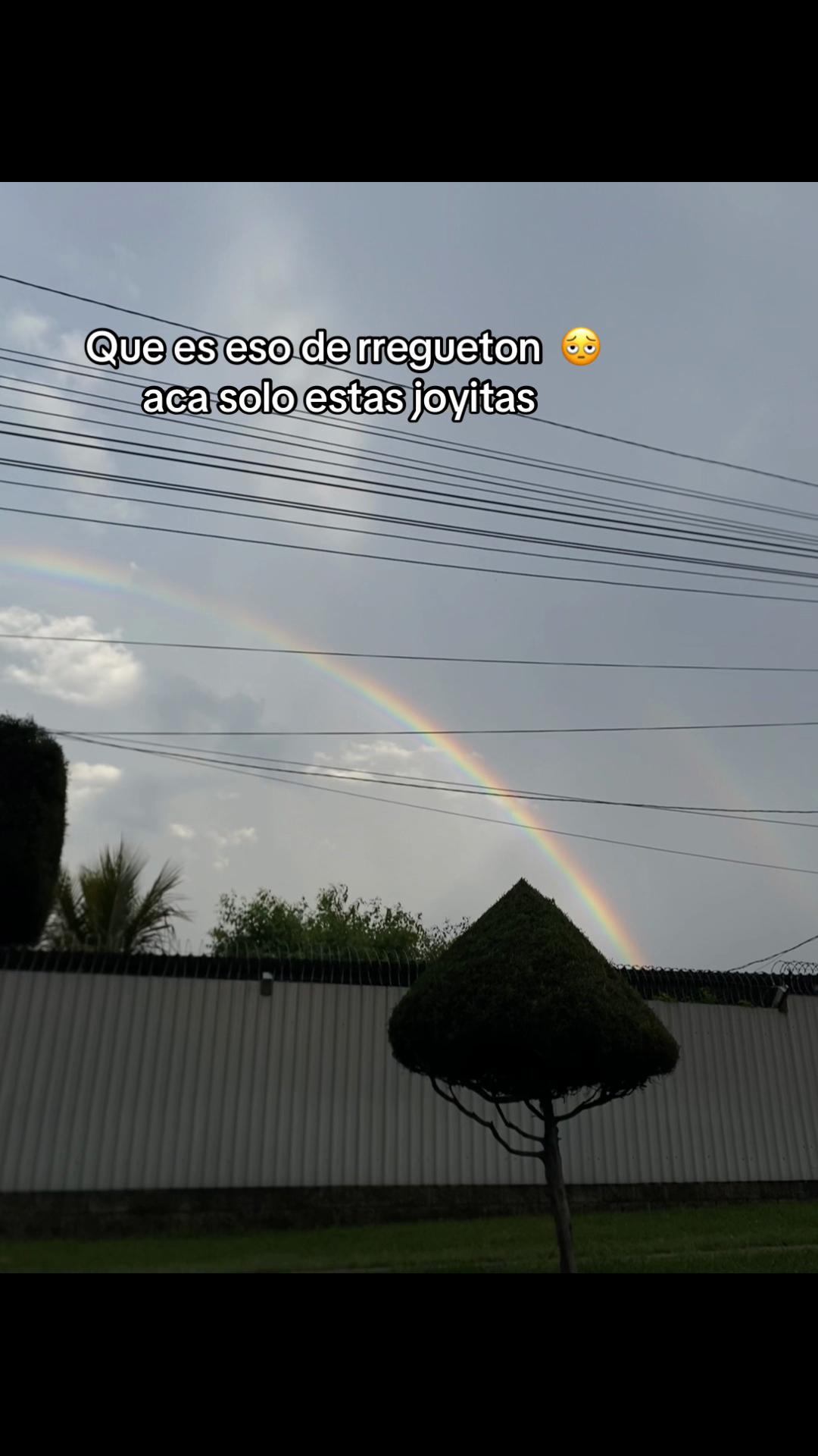 @KAYARI☘️