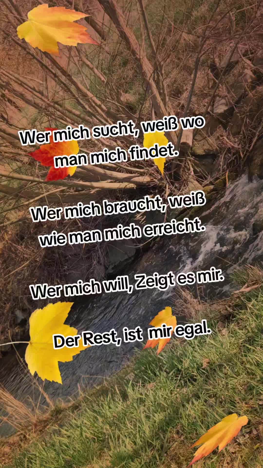 @de_jessi_halt