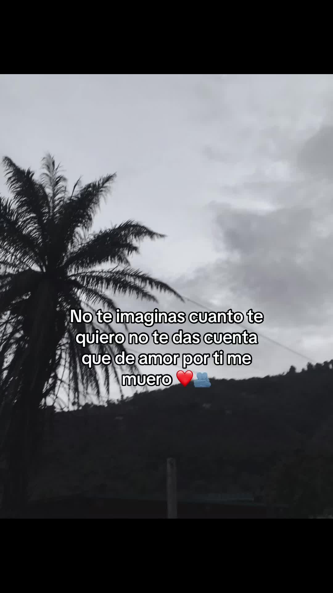 @🪸🌷ELISENDA🌷🪸