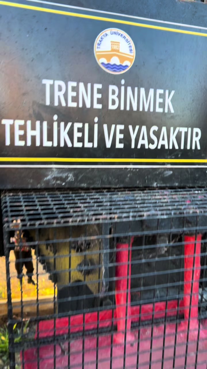 @Berkcan Selvi