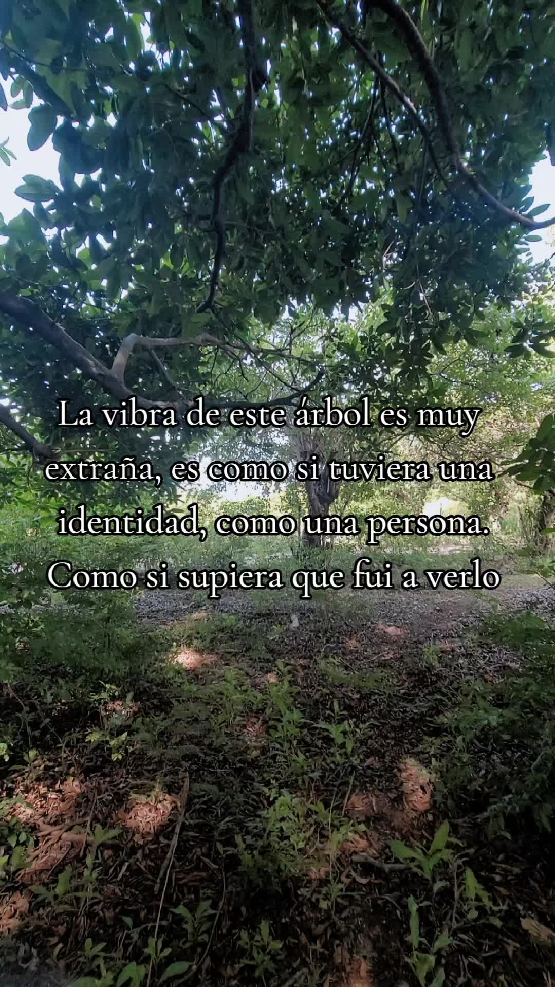 @🦇Soy Índigo 🦇
